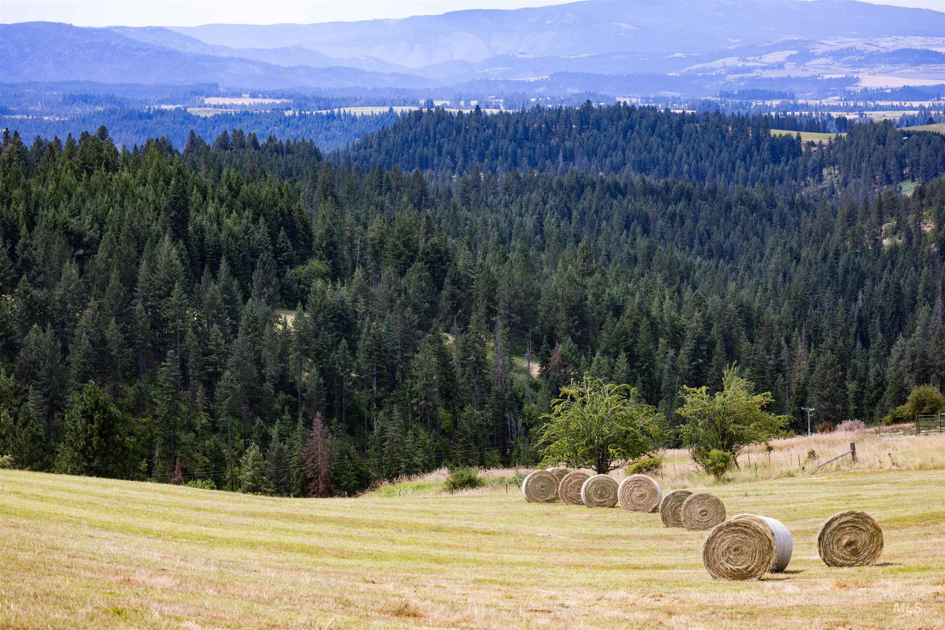 TBD Red Fir Rd, Kooskia, Idaho 83539, Land For Sale, Price $174,900,MLS 98992356