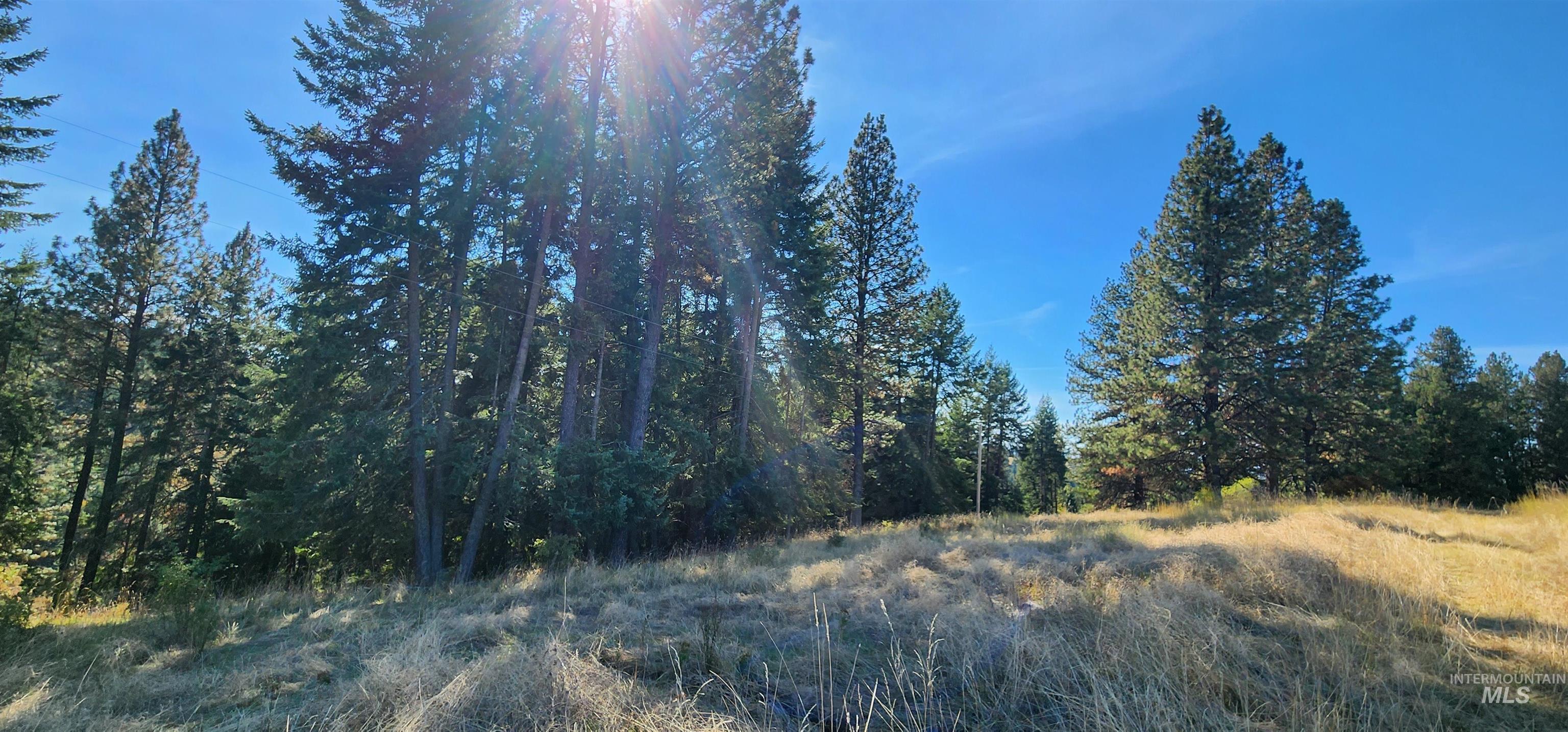 TBD Red Fir Rd, Kooskia, Idaho 83539, Land For Sale, Price $174,900,MLS 98992356