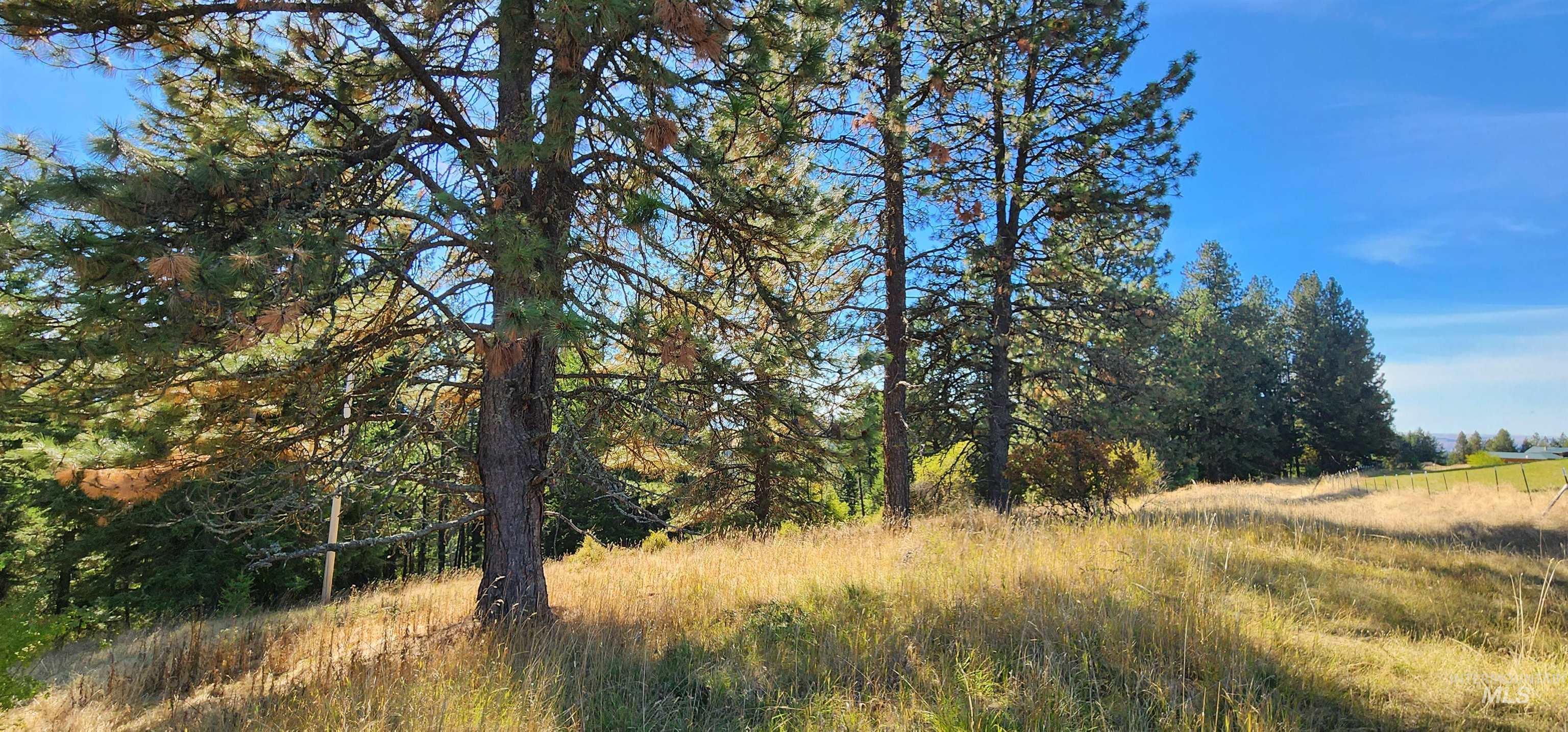 TBD Red Fir Rd, Kooskia, Idaho 83539, Land For Sale, Price $174,900,MLS 98992356