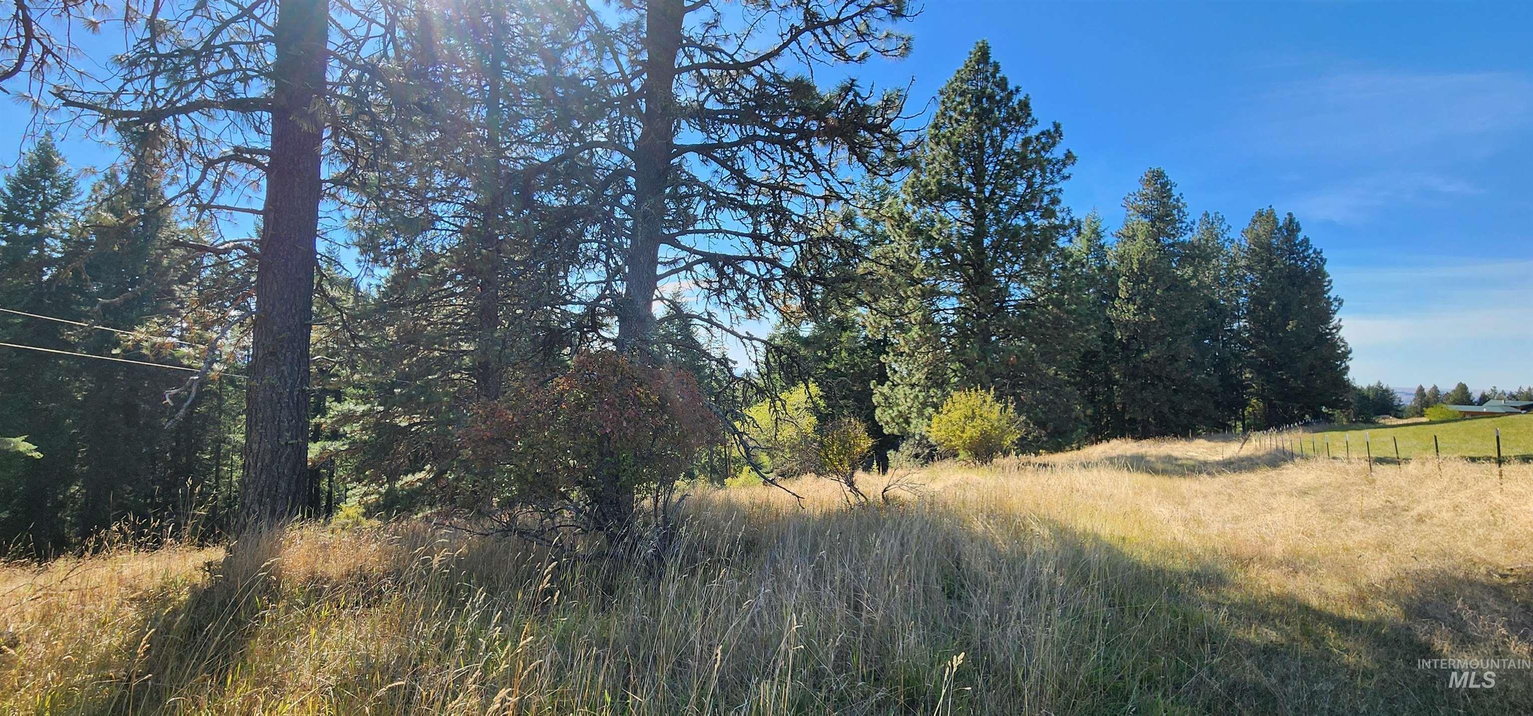 TBD Red Fir Rd, Kooskia, Idaho 83539, Land For Sale, Price $174,900,MLS 98992356