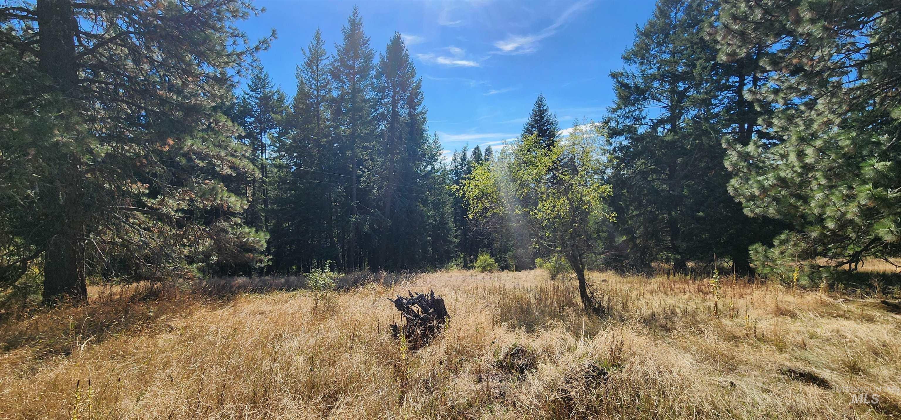 TBD Red Fir Rd, Kooskia, Idaho 83539, Land For Sale, Price $174,900,MLS 98992356