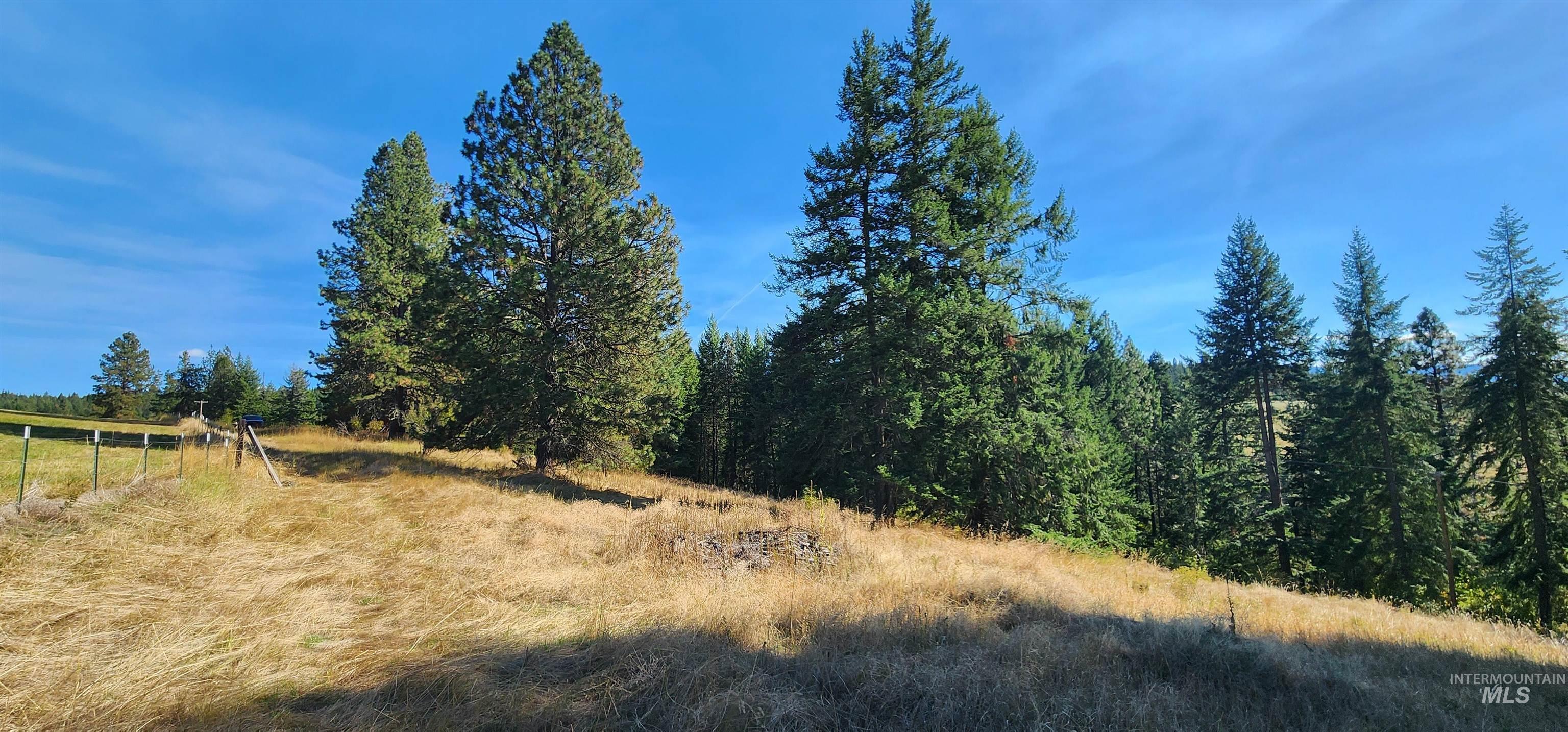 TBD Red Fir Rd, Kooskia, Idaho 83539, Land For Sale, Price $174,900,MLS 98992356