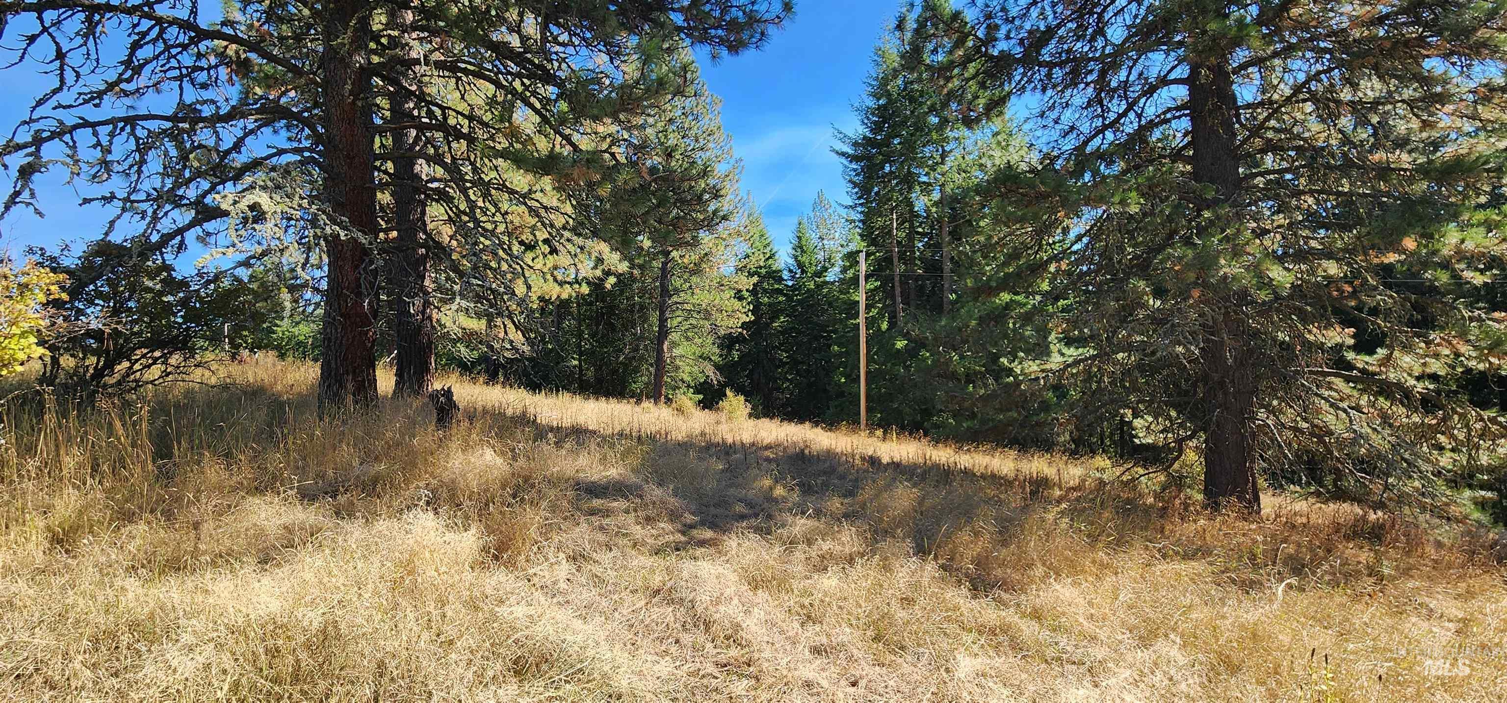 TBD Red Fir Rd, Kooskia, Idaho 83539, Land For Sale, Price $174,900,MLS 98992356