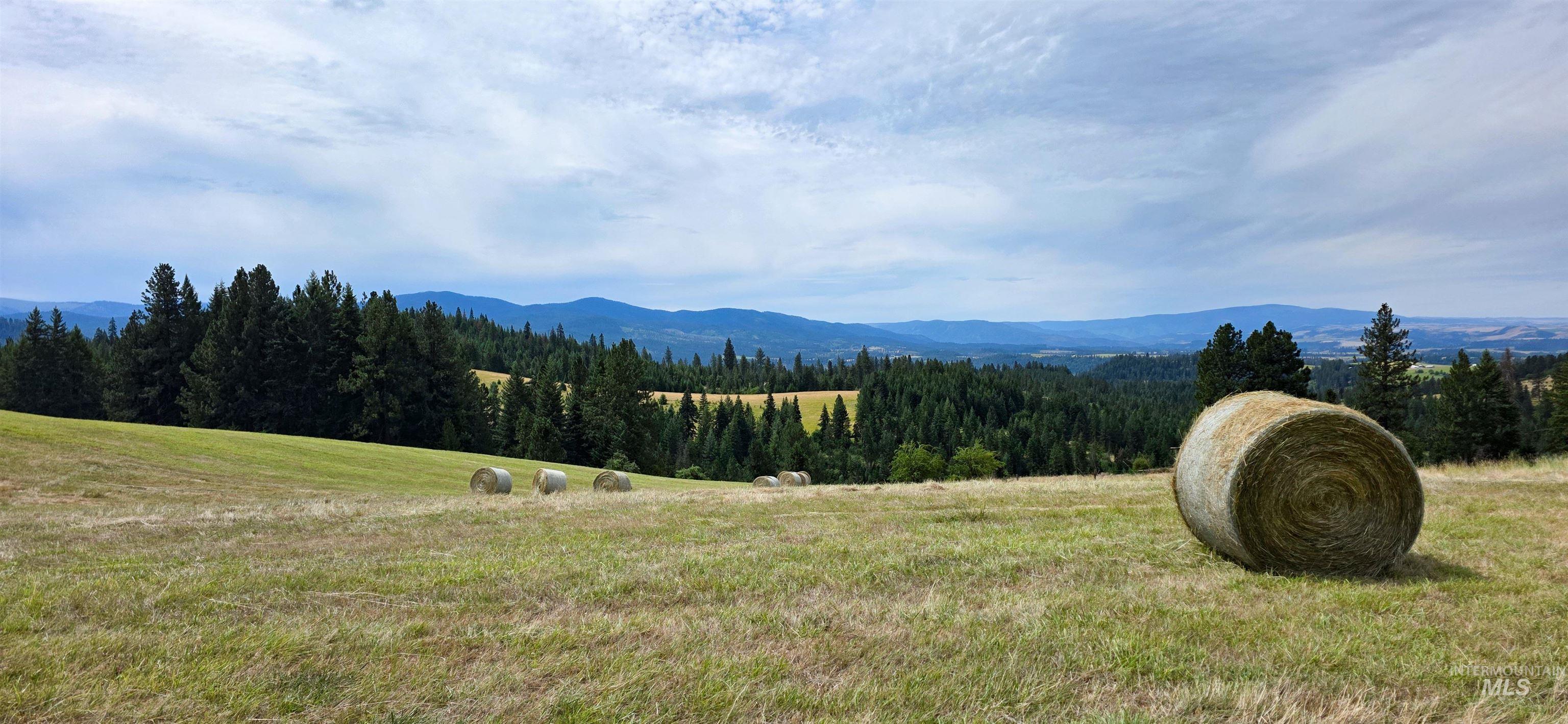 TBD Red Fir Rd, Kooskia, Idaho 83539, Land For Sale, Price $174,900,MLS 98992356