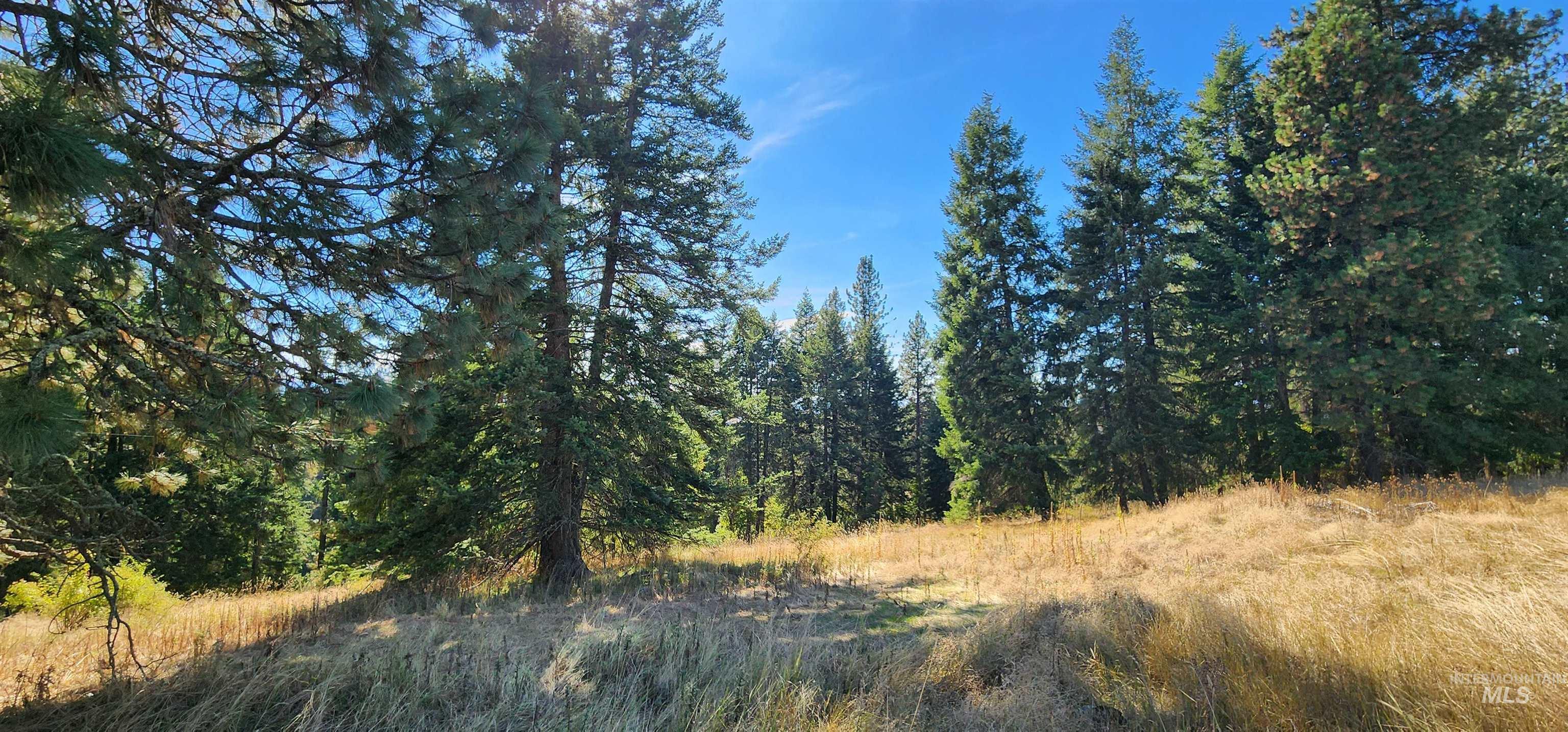 TBD Red Fir Rd, Kooskia, Idaho 83539, Land For Sale, Price $174,900,MLS 98992356