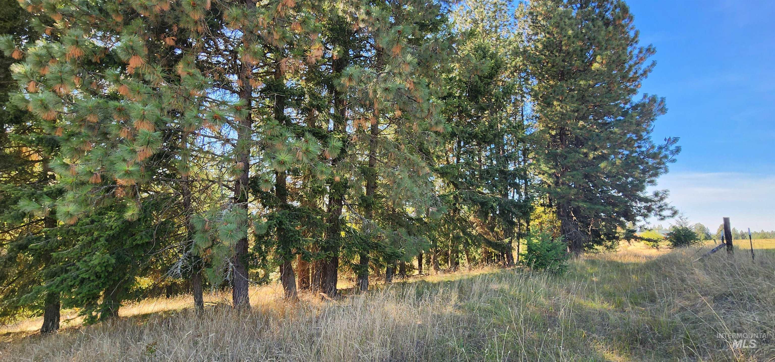 TBD Red Fir Rd, Kooskia, Idaho 83539, Land For Sale, Price $174,900,MLS 98992356