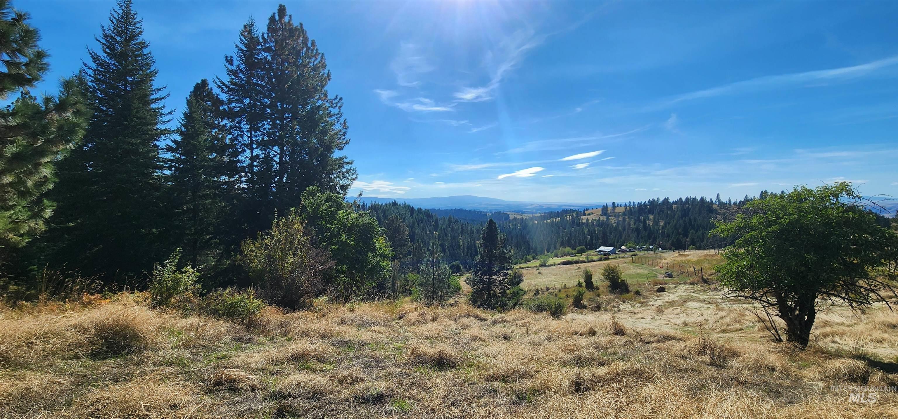 TBD Red Fir Rd, Kooskia, Idaho 83539, Land For Sale, Price $174,900,MLS 98992356