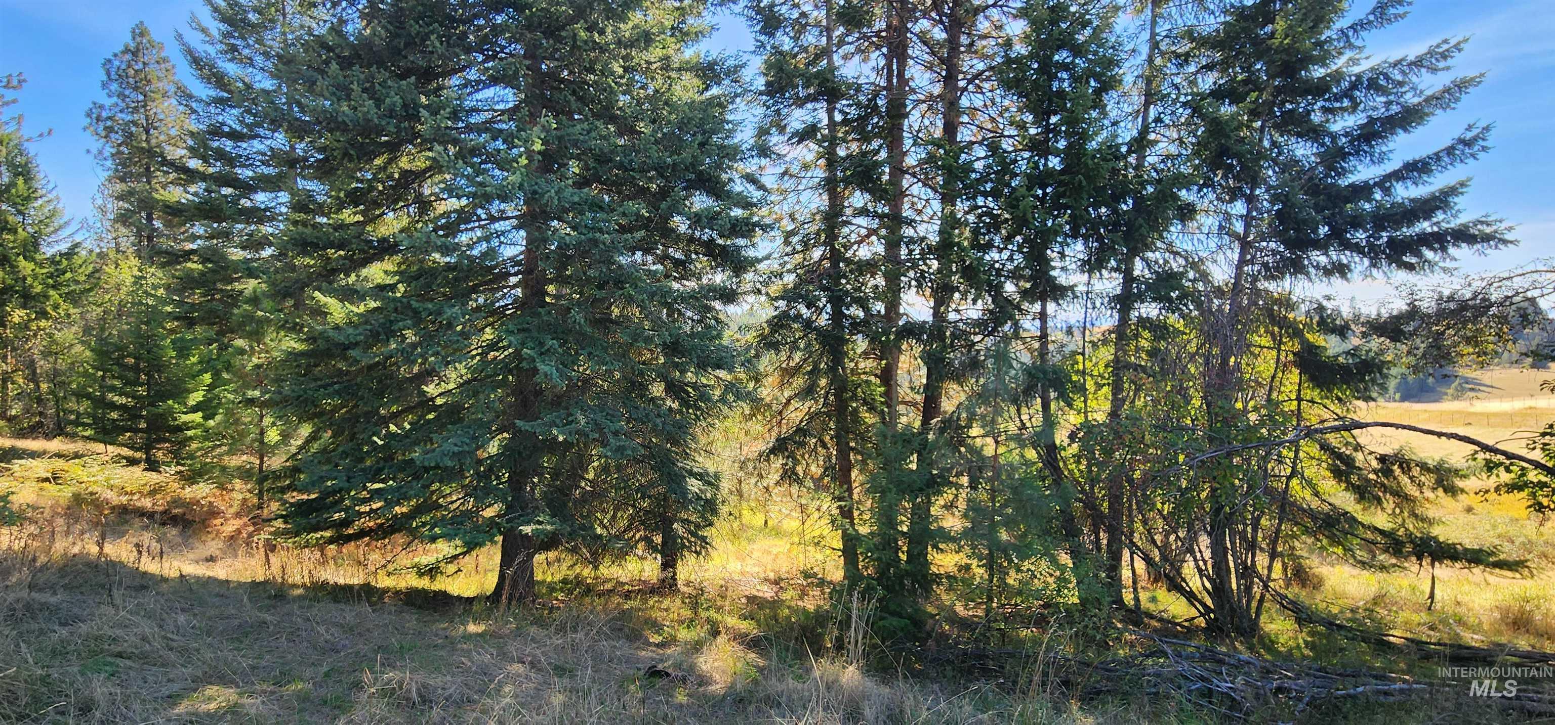 TBD Red Fir Rd, Kooskia, Idaho 83539, Land For Sale, Price $174,900,MLS 98992356