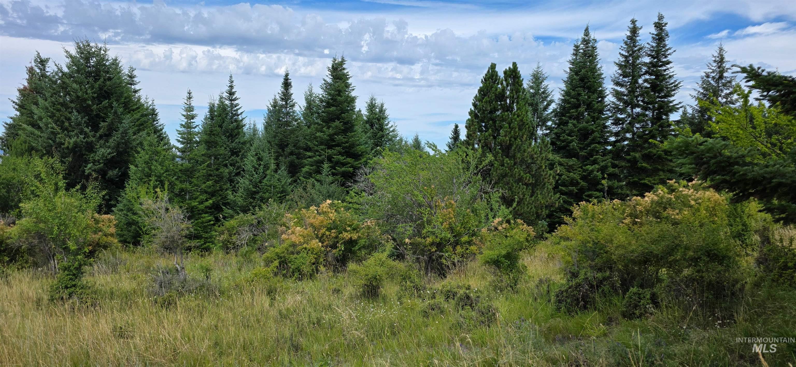 TBD Red Fir Rd, Kooskia, Idaho 83539, Land For Sale, Price $174,900,MLS 98992356