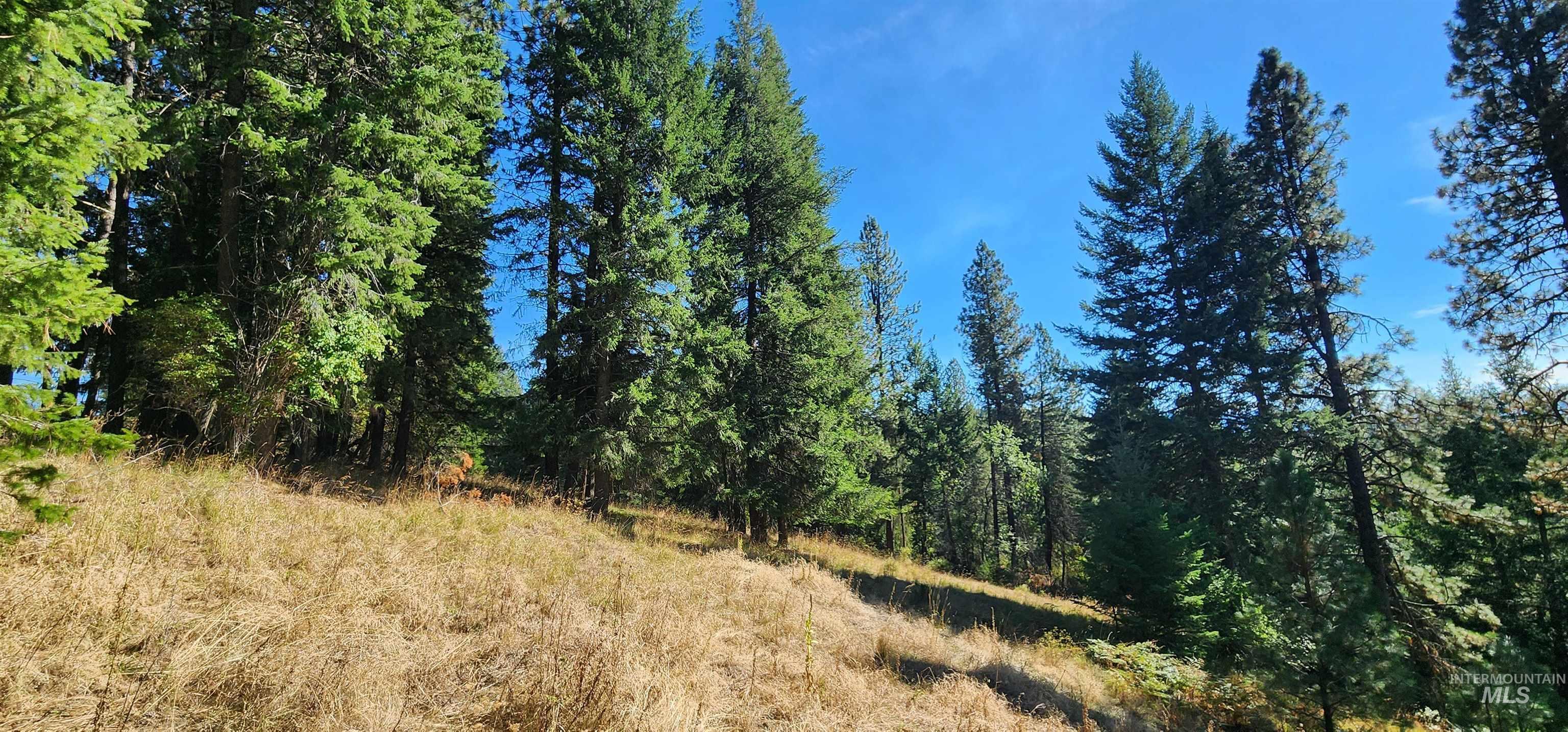 TBD Red Fir Rd, Kooskia, Idaho 83539, Land For Sale, Price $174,900,MLS 98992356