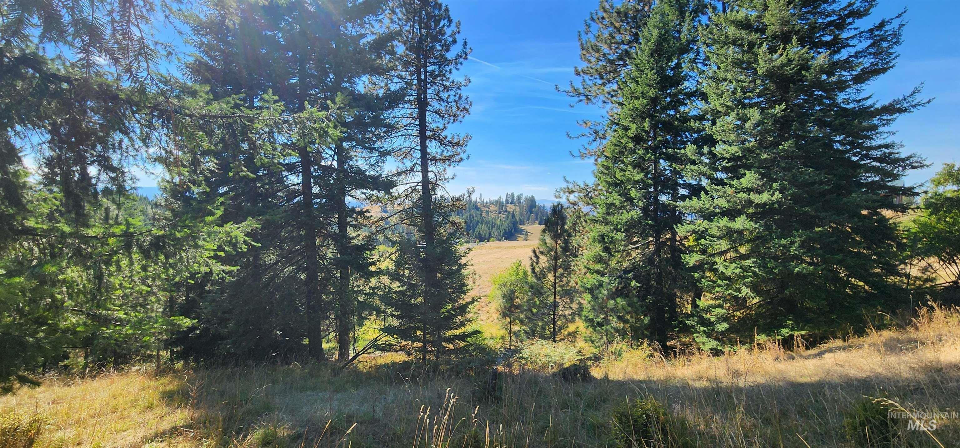 TBD Red Fir Rd, Kooskia, Idaho 83539, Land For Sale, Price $174,900,MLS 98992356