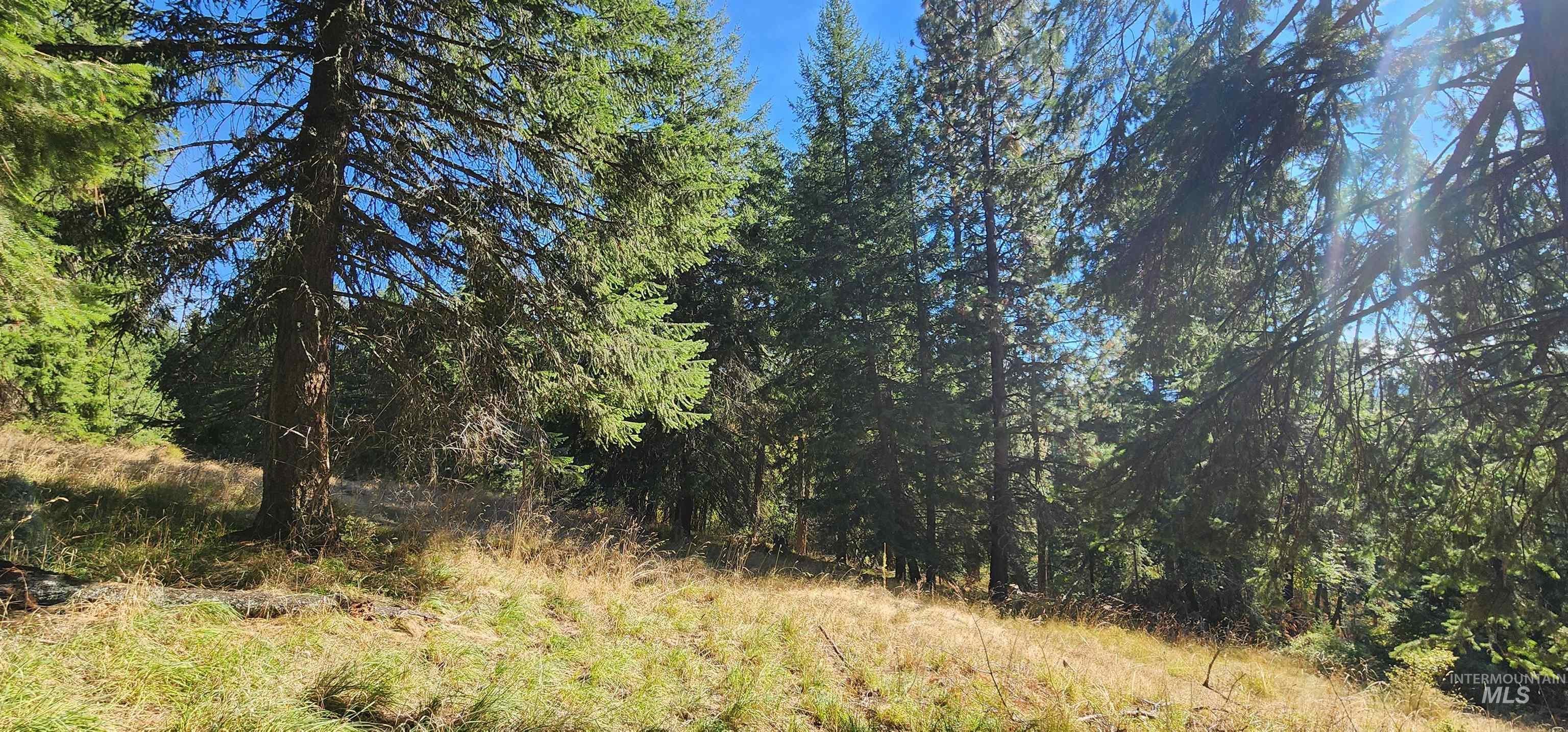TBD Red Fir Rd, Kooskia, Idaho 83539, Land For Sale, Price $174,900,MLS 98992356