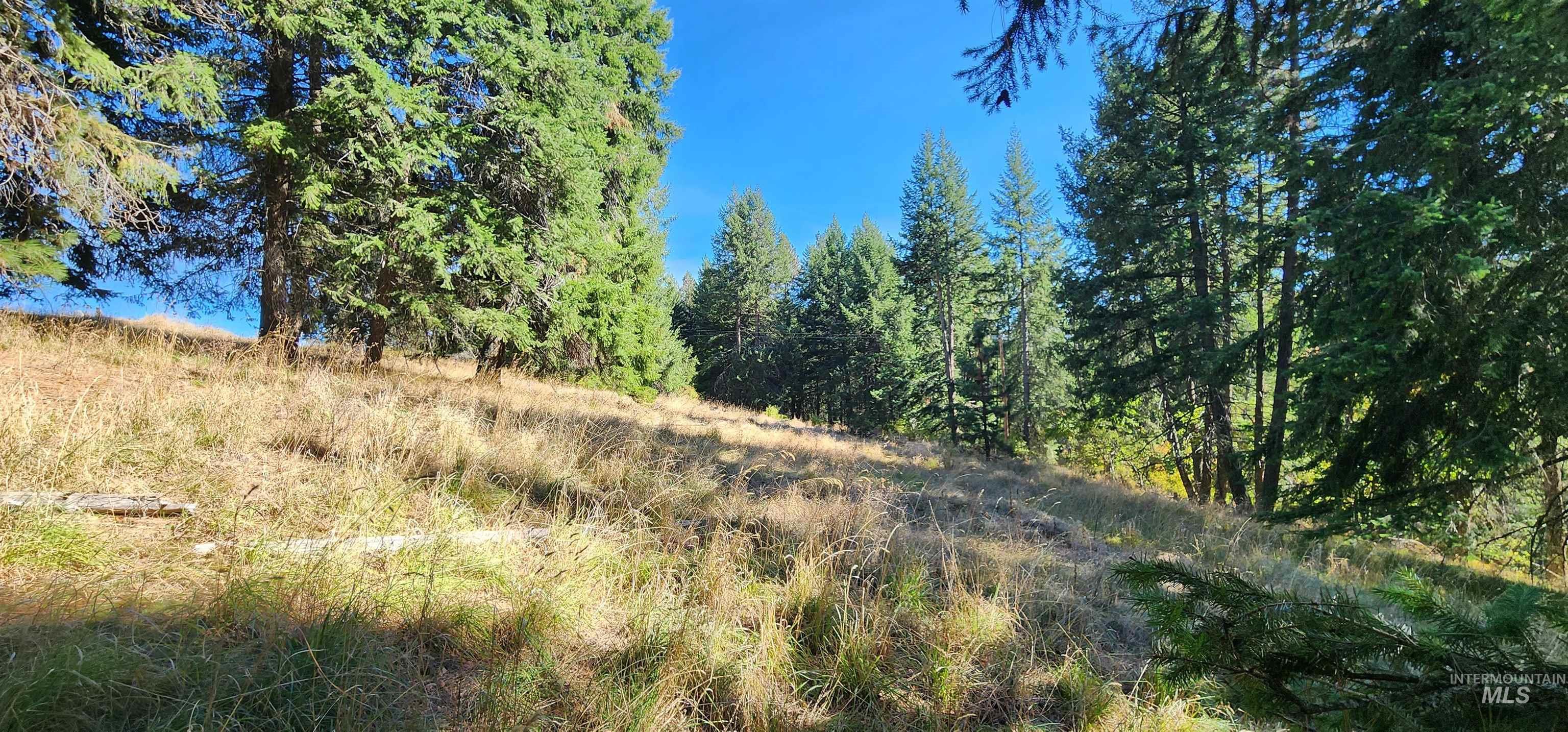TBD Red Fir Rd, Kooskia, Idaho 83539, Land For Sale, Price $174,900,MLS 98992356