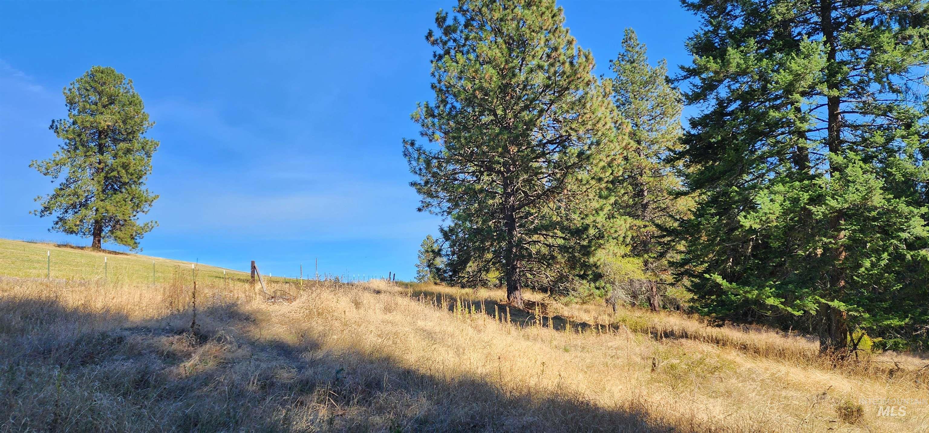 TBD Red Fir Rd, Kooskia, Idaho 83539, Land For Sale, Price $174,900,MLS 98992356