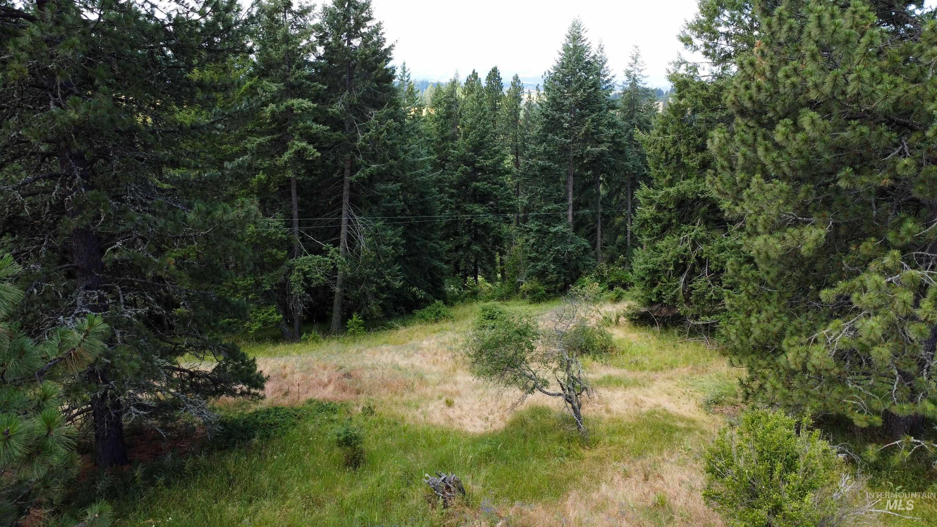 TBD Red Fir Rd, Kooskia, Idaho 83539, Land For Sale, Price $174,900,MLS 98992356