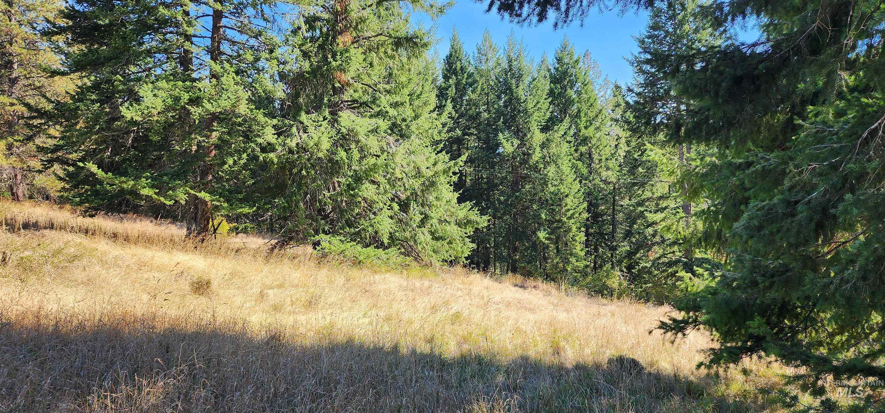 TBD Red Fir Rd, Kooskia, Idaho 83539, Land For Sale, Price $174,900,MLS 98992356