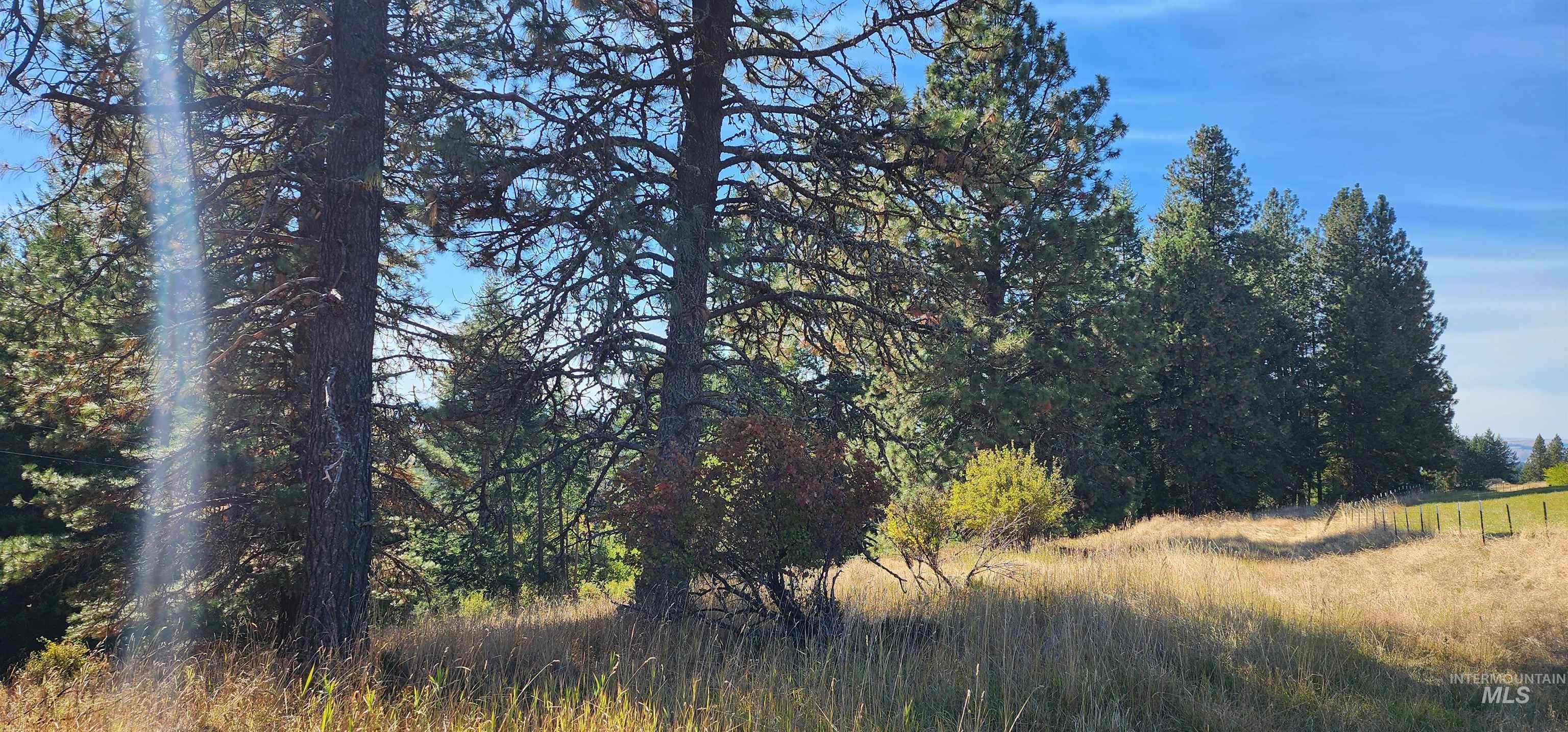 TBD Red Fir Rd, Kooskia, Idaho 83539, Land For Sale, Price $174,900,MLS 98992356