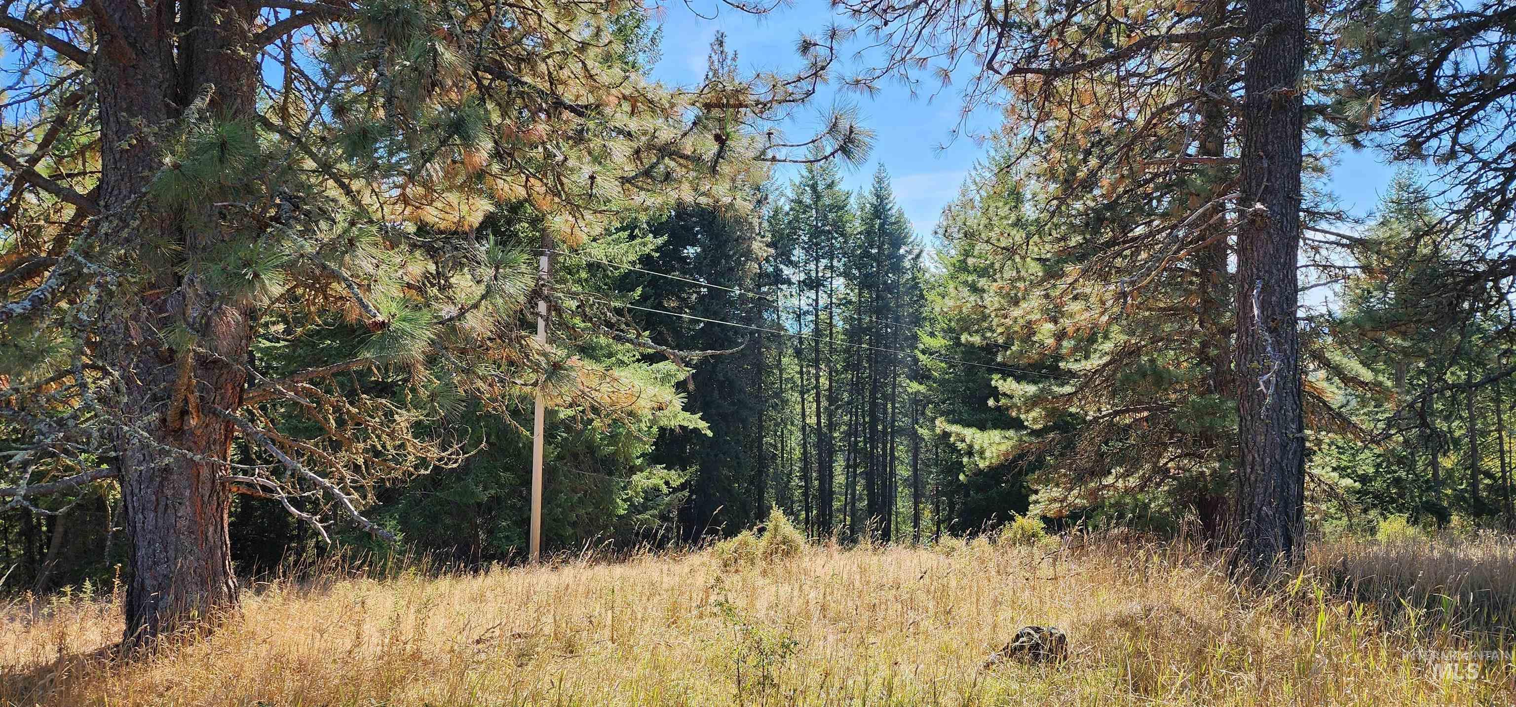 TBD Red Fir Rd, Kooskia, Idaho 83539, Land For Sale, Price $174,900,MLS 98992356
