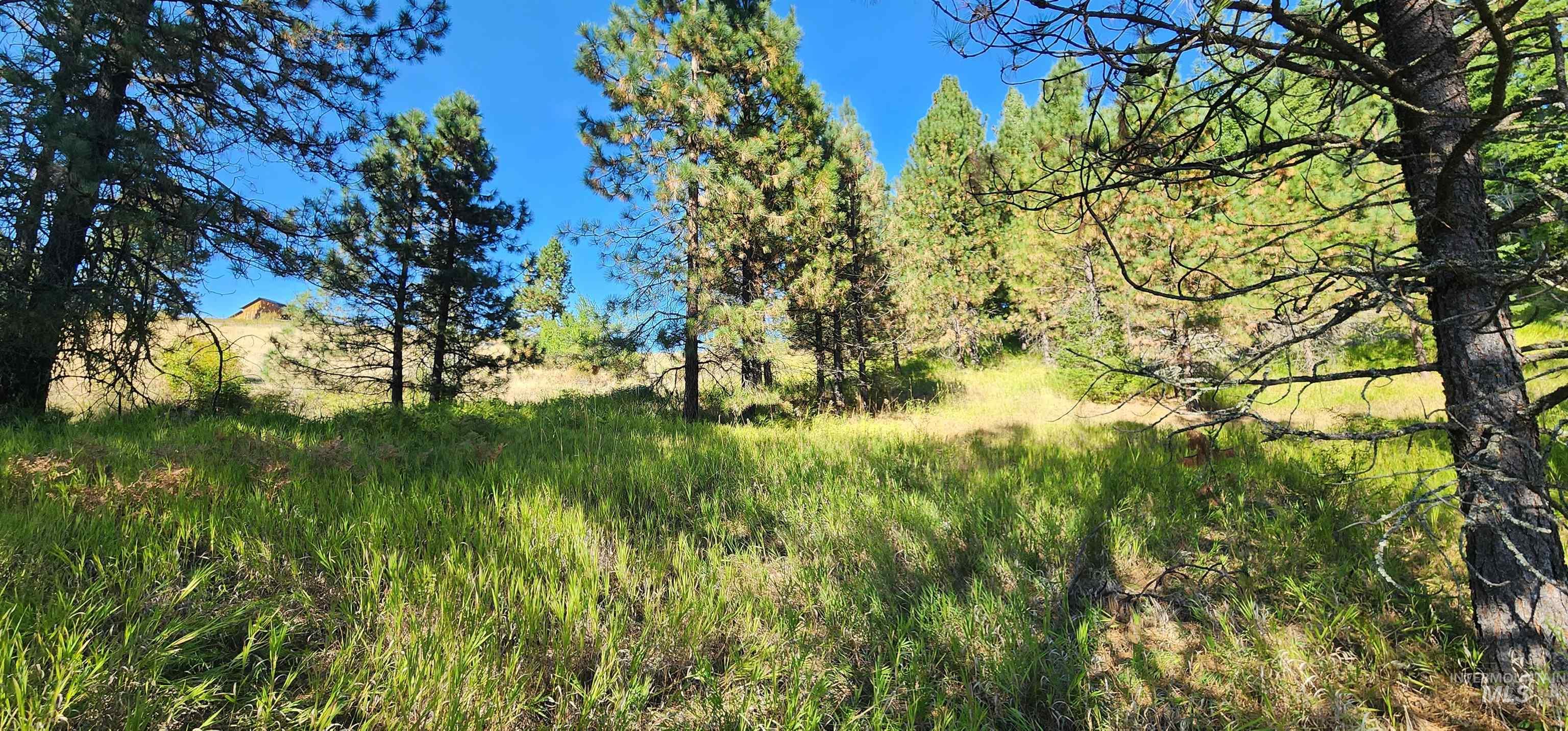 TBD Red Fir Rd, Kooskia, Idaho 83539, Land For Sale, Price $174,900,MLS 98992356