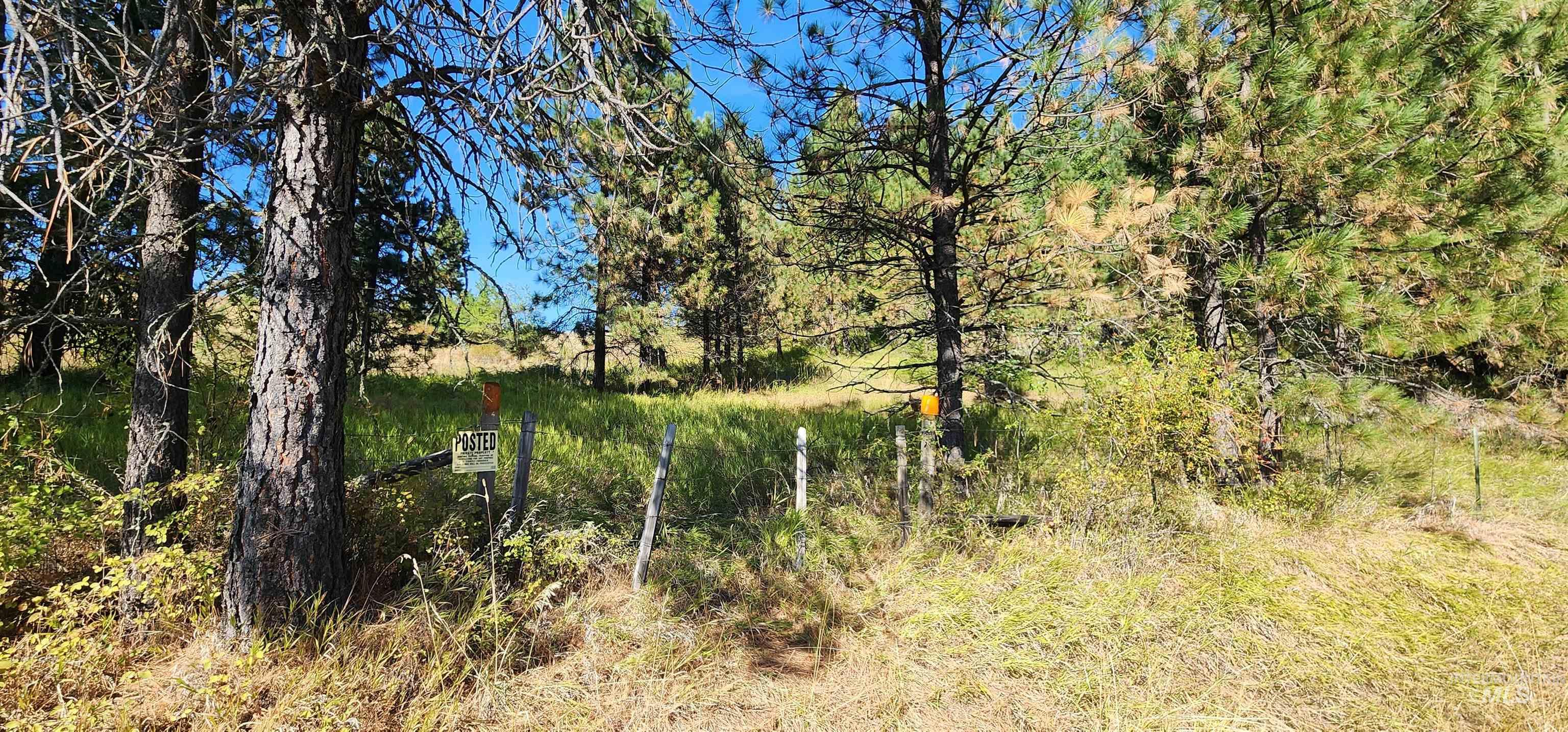 TBD Red Fir Rd, Kooskia, Idaho 83539, Land For Sale, Price $174,900,MLS 98992356