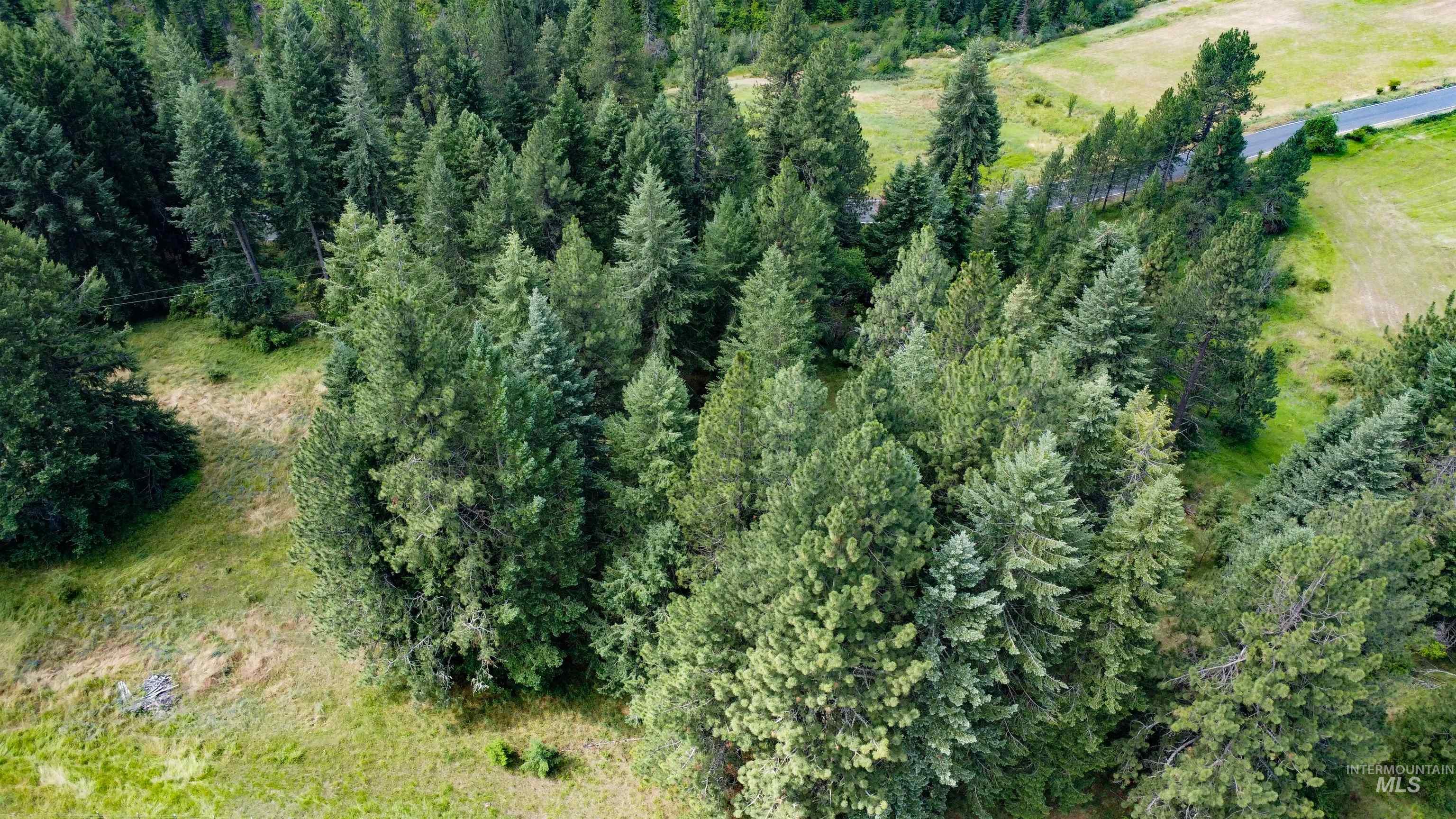 TBD Red Fir Rd, Kooskia, Idaho 83539, Land For Sale, Price $174,900,MLS 98992356