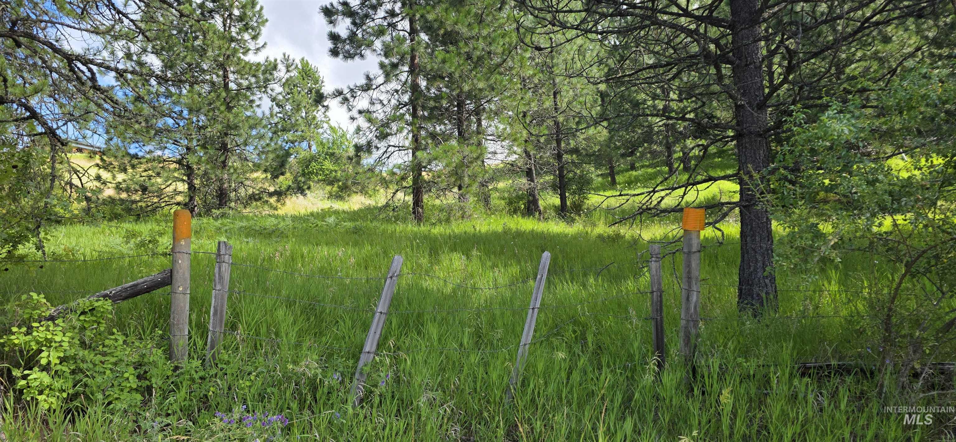 TBD Red Fir Rd, Kooskia, Idaho 83539, Land For Sale, Price $174,900,MLS 98992356