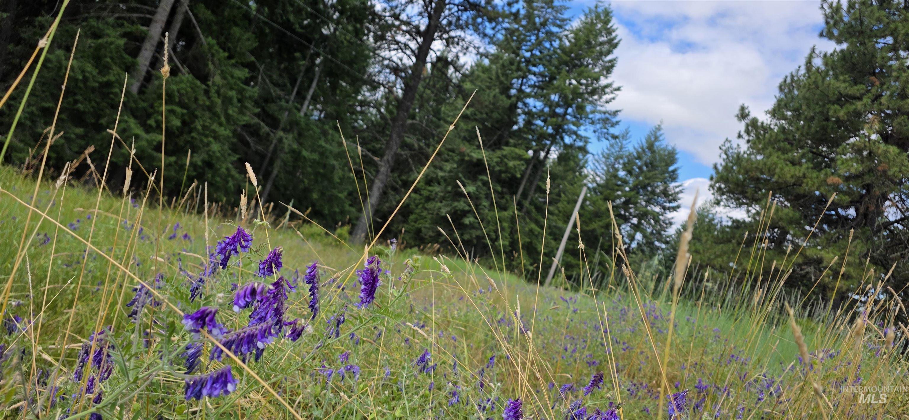 TBD Red Fir Rd, Kooskia, Idaho 83539, Land For Sale, Price $174,900,MLS 98992356