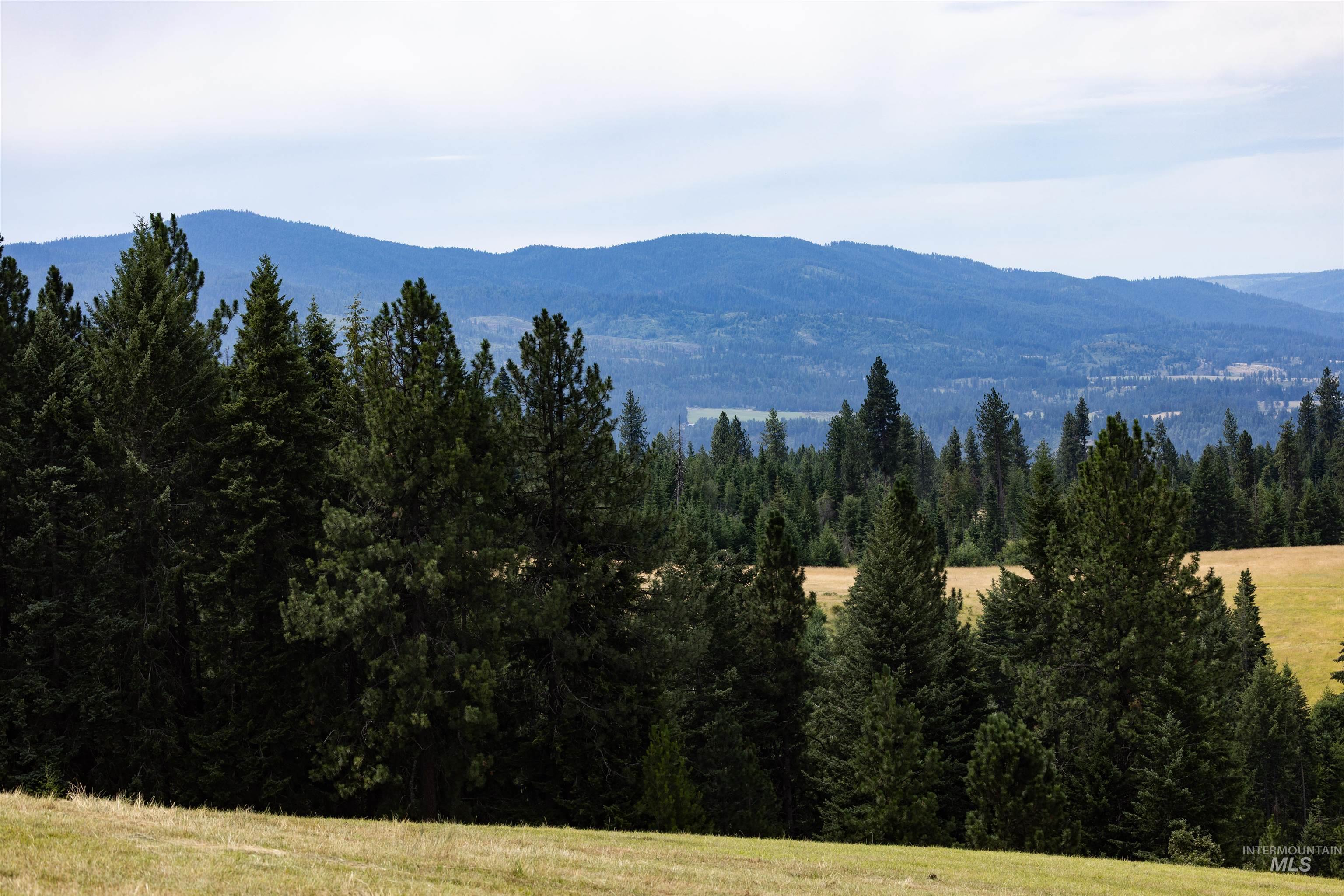 TBD Red Fir Rd, Kooskia, Idaho 83539, Land For Sale, Price $174,900,MLS 98992356
