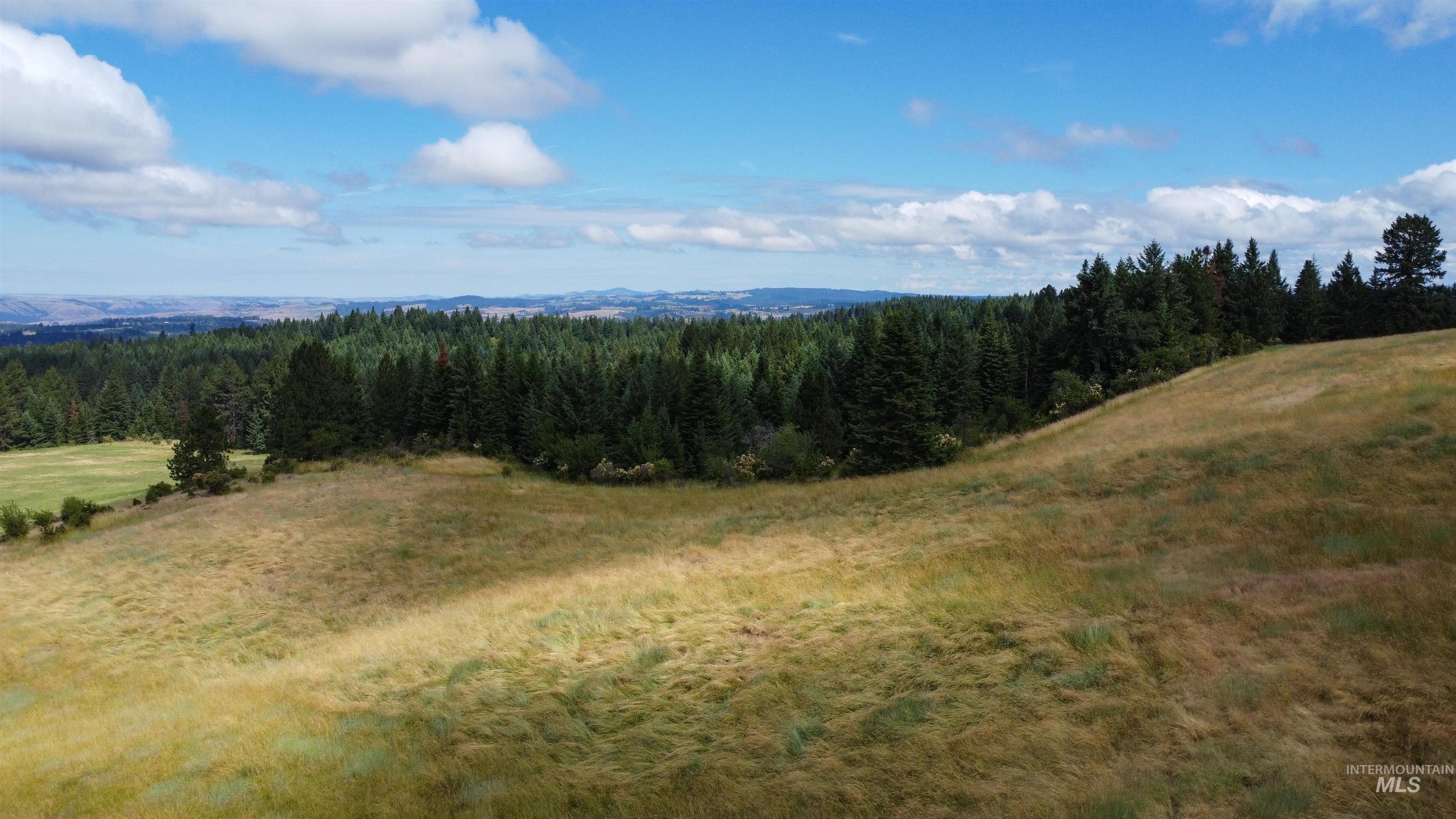TBD Red Fir Rd, Kooskia, Idaho 83539, Land For Sale, Price $174,900,MLS 98992356