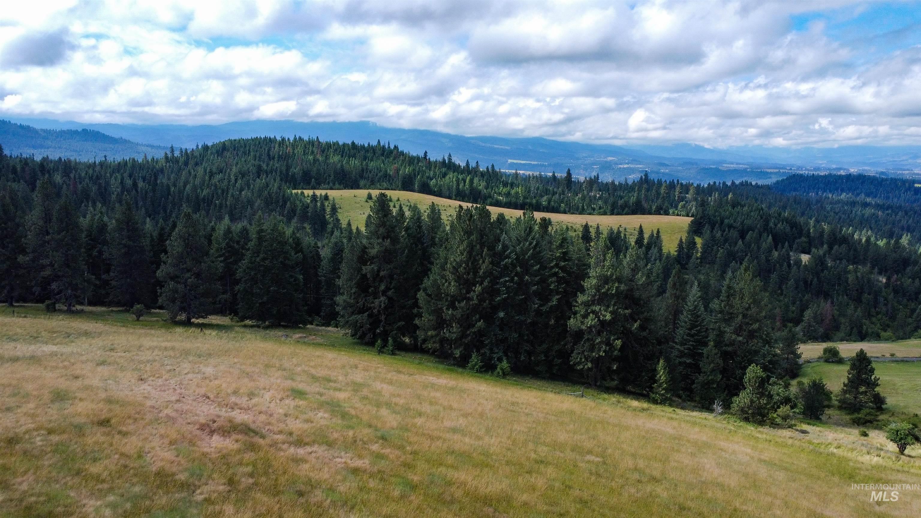 TBD Red Fir Rd, Kooskia, Idaho 83539, Land For Sale, Price $174,900,MLS 98992356