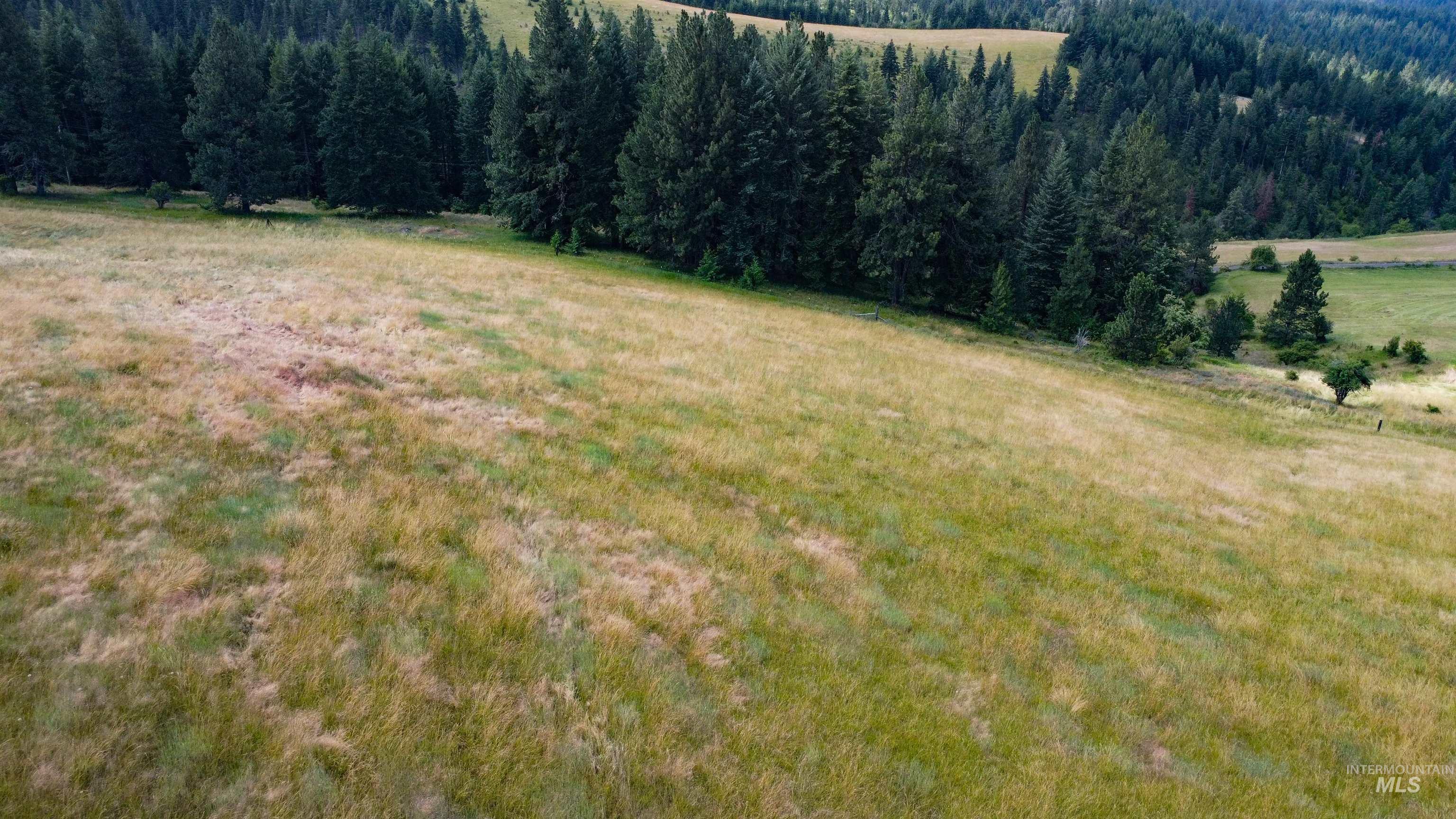 TBD Red Fir Rd, Kooskia, Idaho 83539, Land For Sale, Price $174,900,MLS 98992356