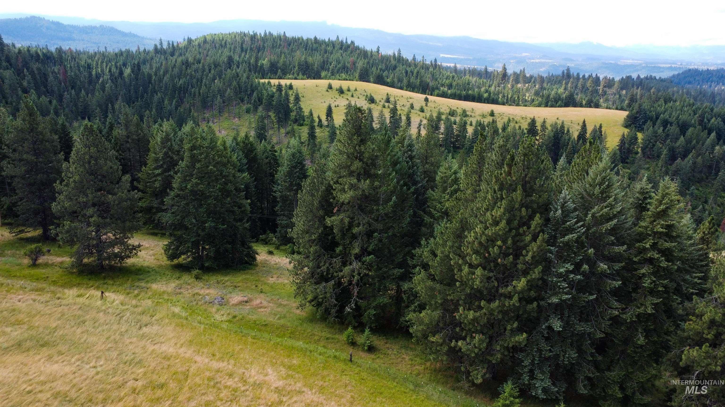 TBD Red Fir Rd, Kooskia, Idaho 83539, Land For Sale, Price $174,900,MLS 98992356