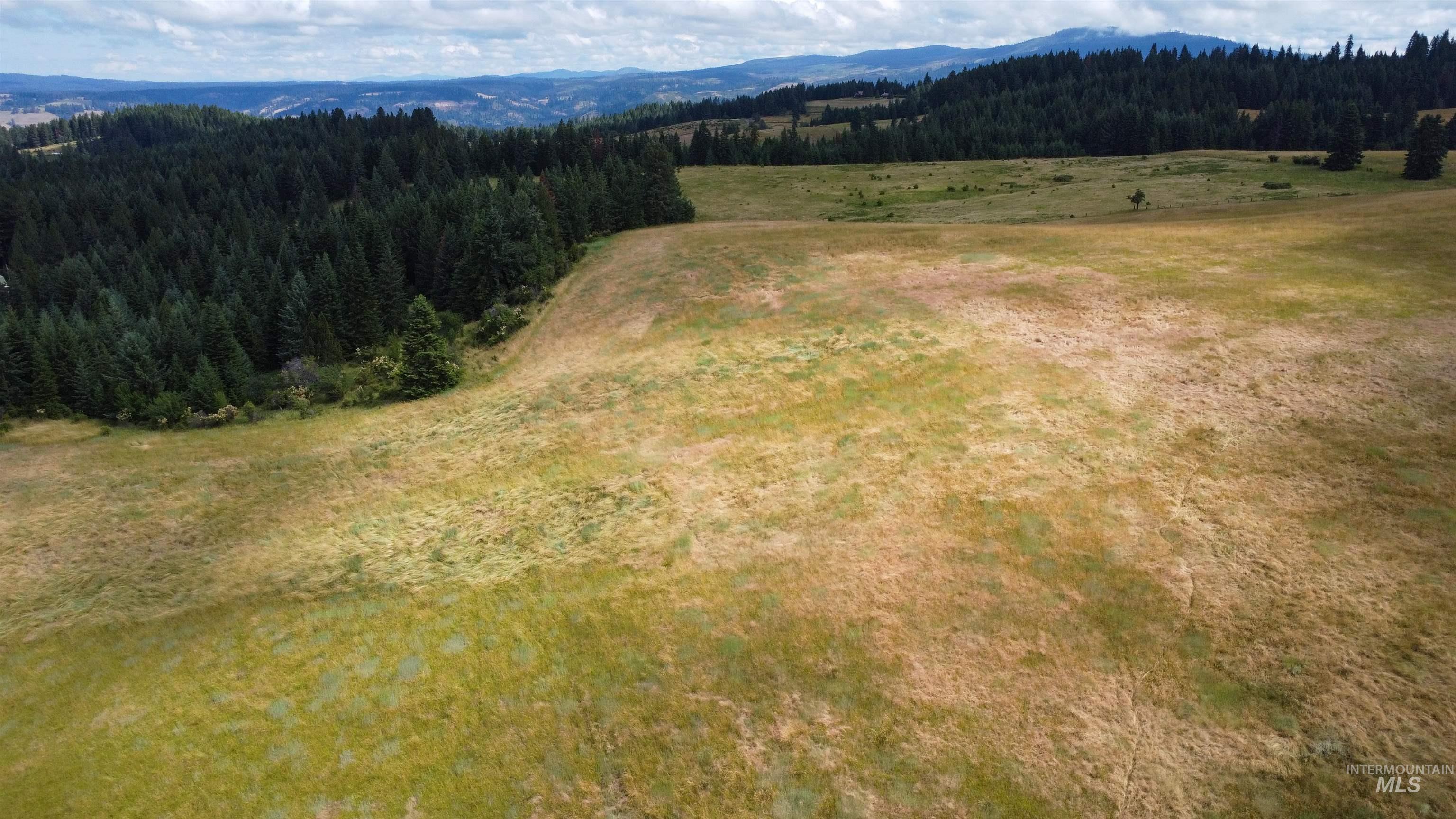 TBD Red Fir Rd, Kooskia, Idaho 83539, Land For Sale, Price $174,900,MLS 98992356