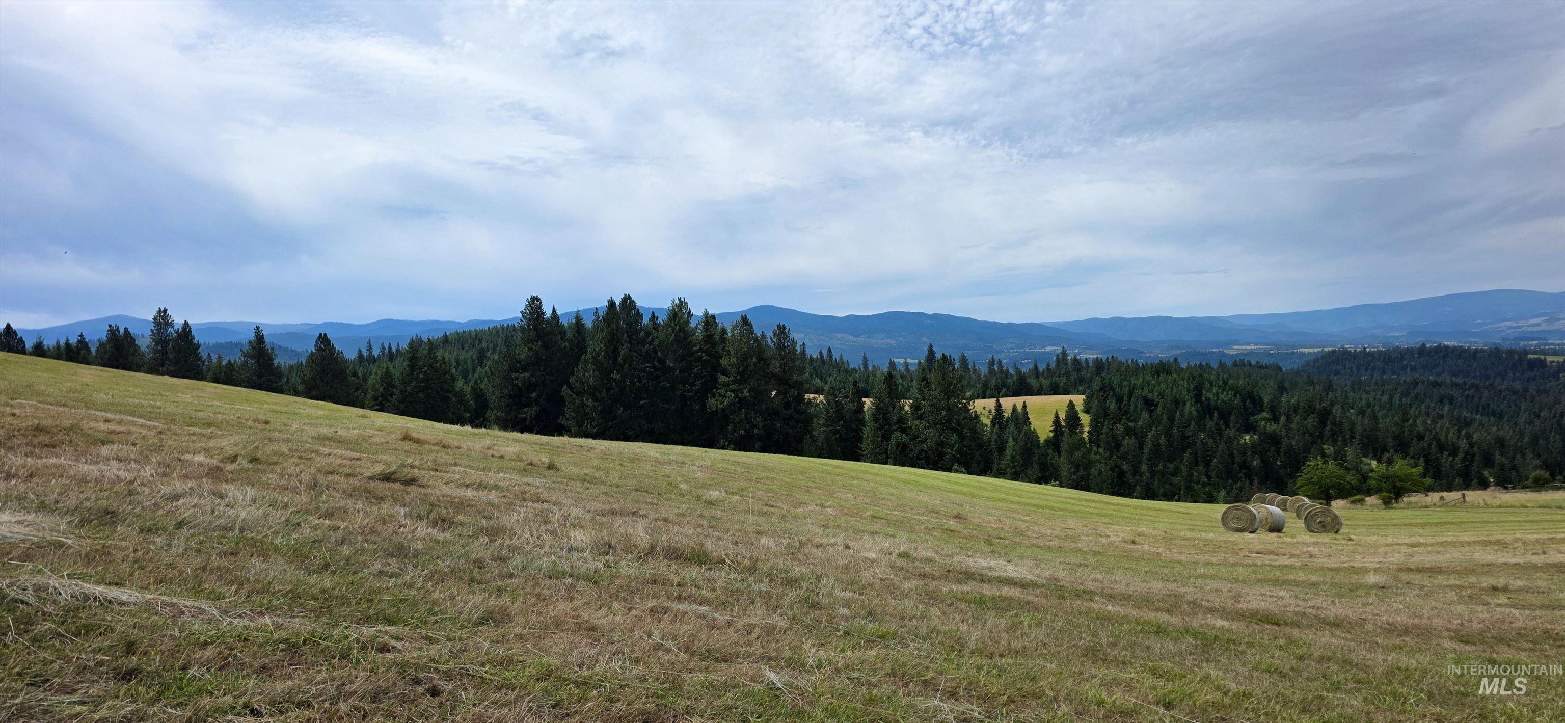 TBD Red Fir Rd, Kooskia, Idaho 83539, Land For Sale, Price $174,900,MLS 98992356