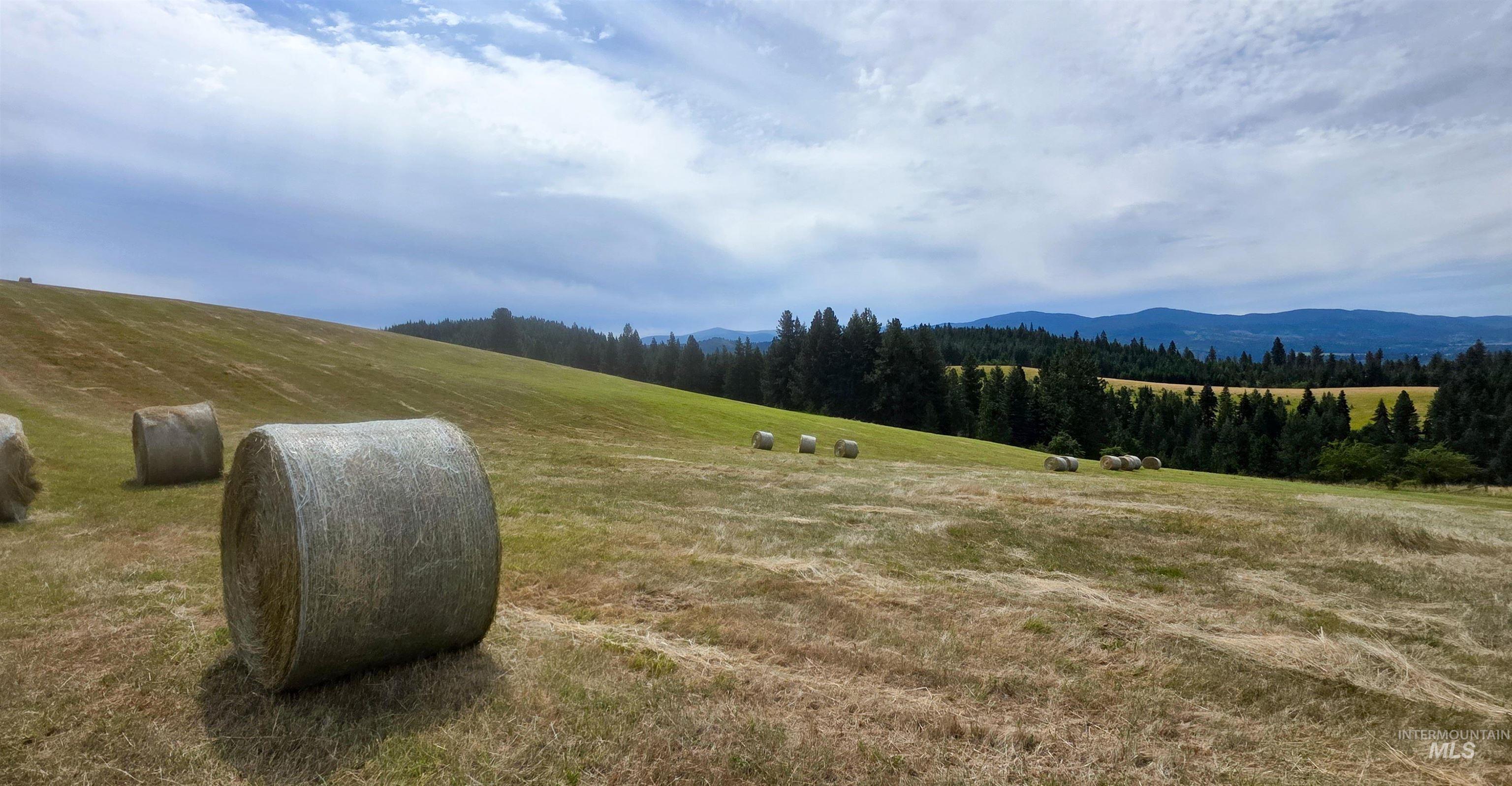 TBD Red Fir Rd, Kooskia, Idaho 83539, Land For Sale, Price $174,900,MLS 98992356