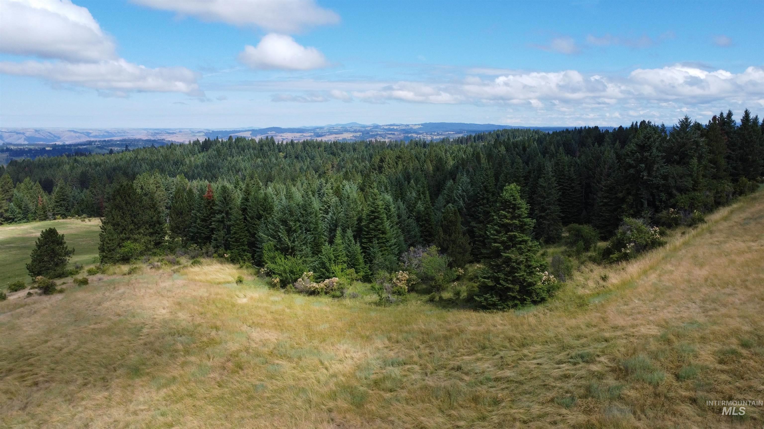 TBD Red Fir Rd, Kooskia, Idaho 83539, Land For Sale, Price $174,900,MLS 98992356
