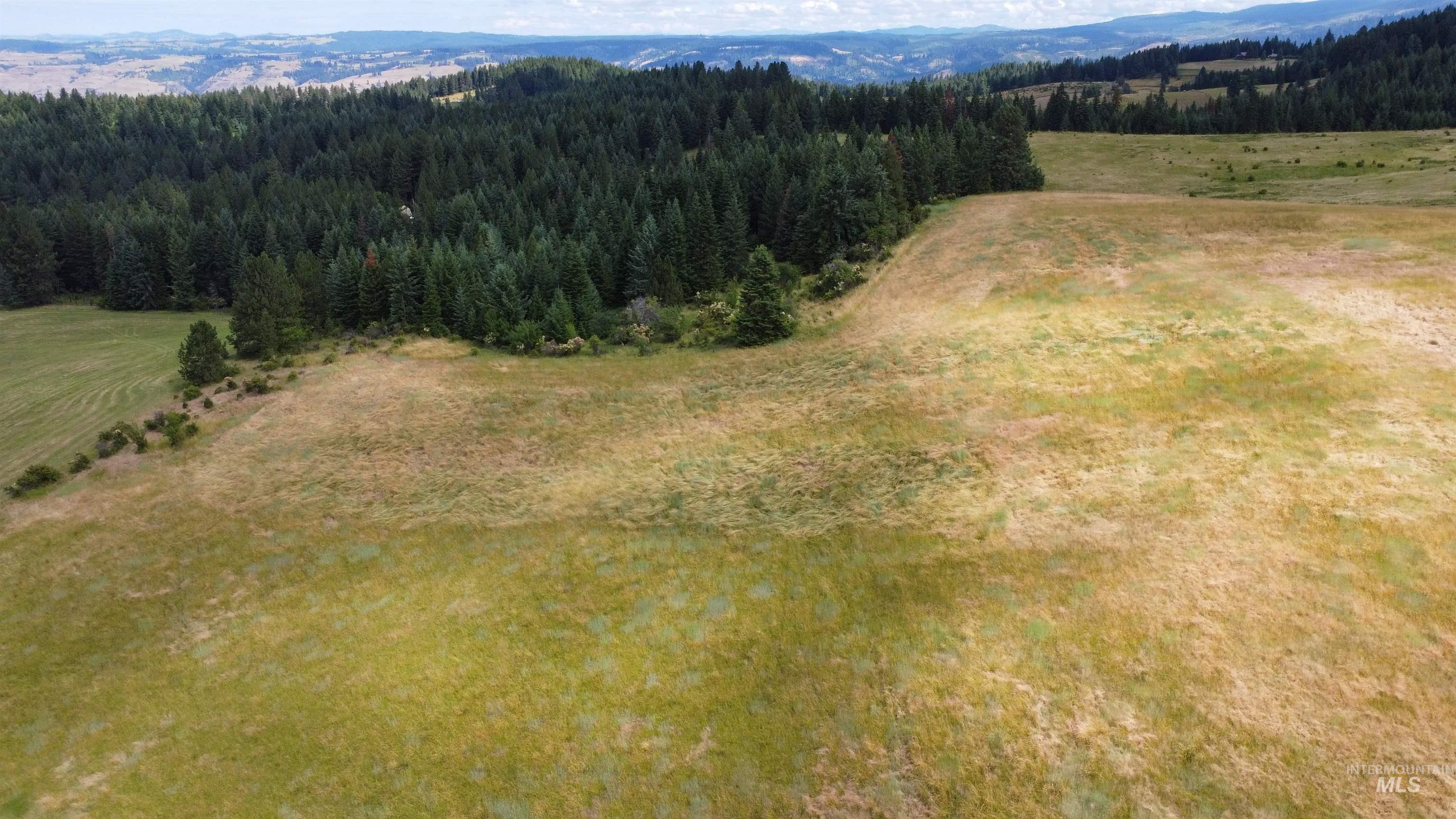 TBD Red Fir Rd, Kooskia, Idaho 83539, Land For Sale, Price $174,900,MLS 98992356