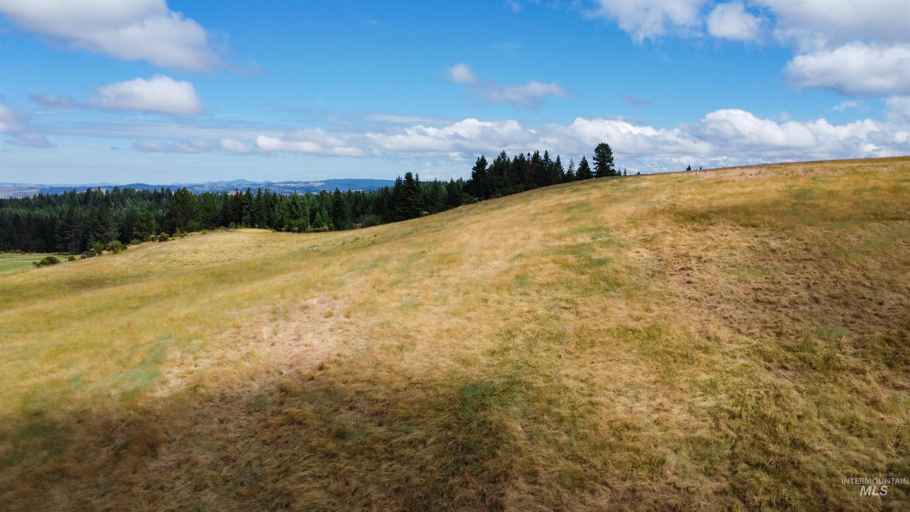 TBD Red Fir Rd, Kooskia, Idaho 83539, Land For Sale, Price $174,900,MLS 98992356