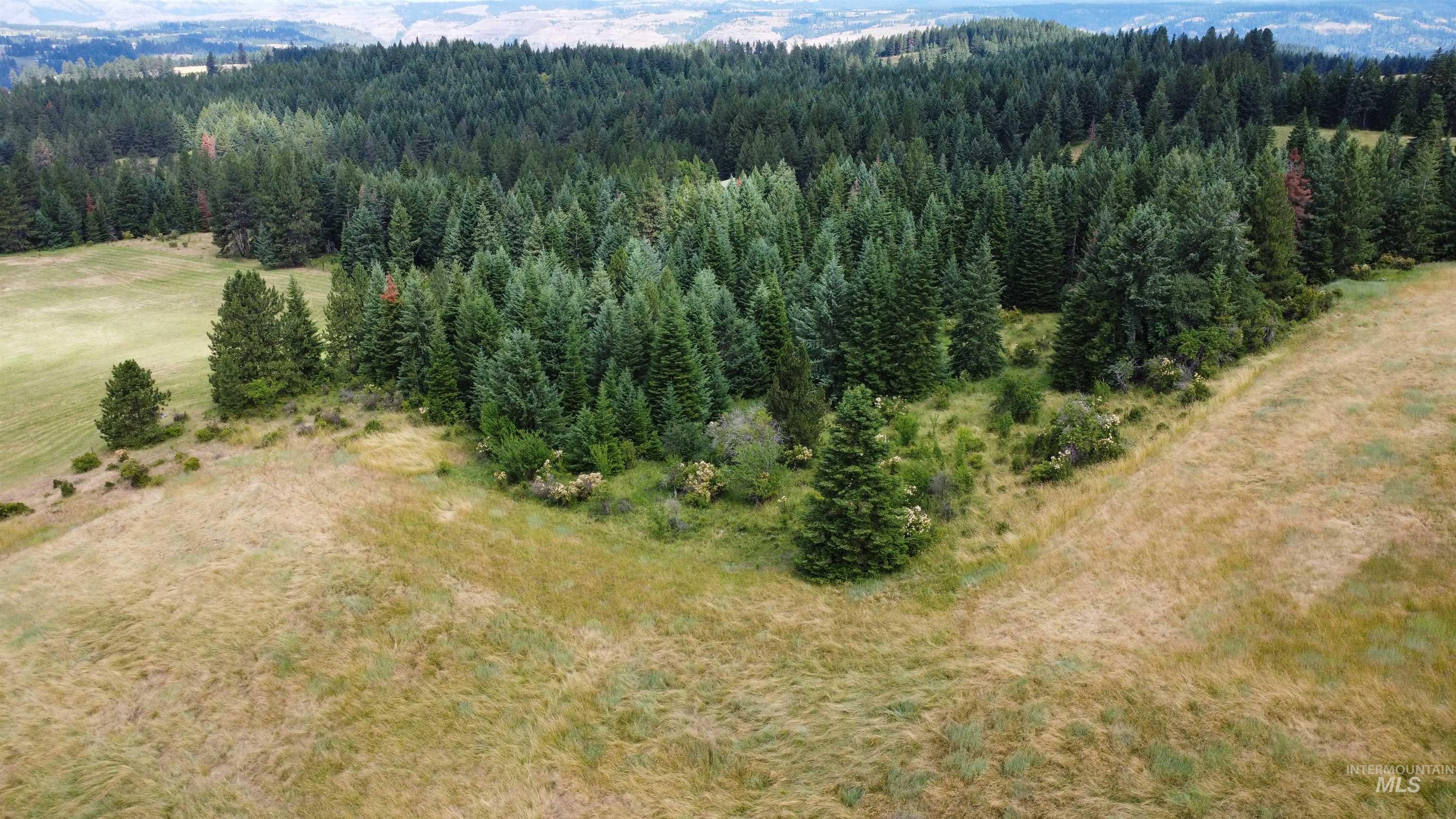 TBD Red Fir Rd, Kooskia, Idaho 83539, Land For Sale, Price $174,900,MLS 98992356