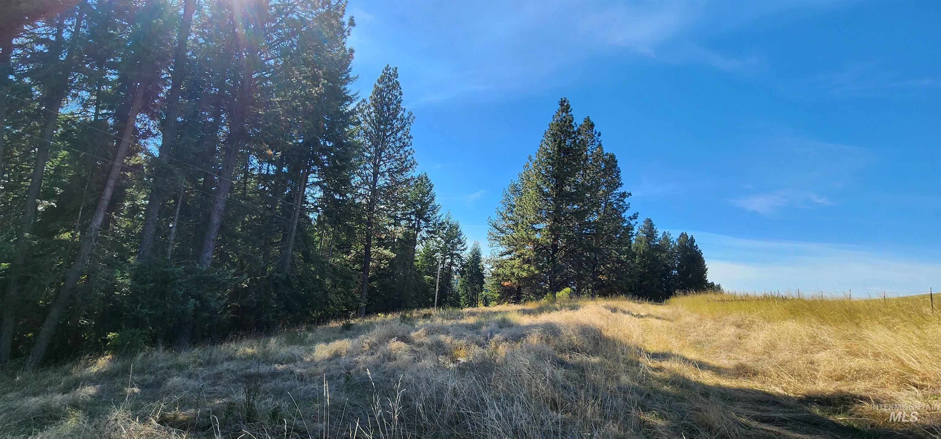 TBD Red Fir Rd, Kooskia, Idaho 83539, Land For Sale, Price $174,900,MLS 98992356