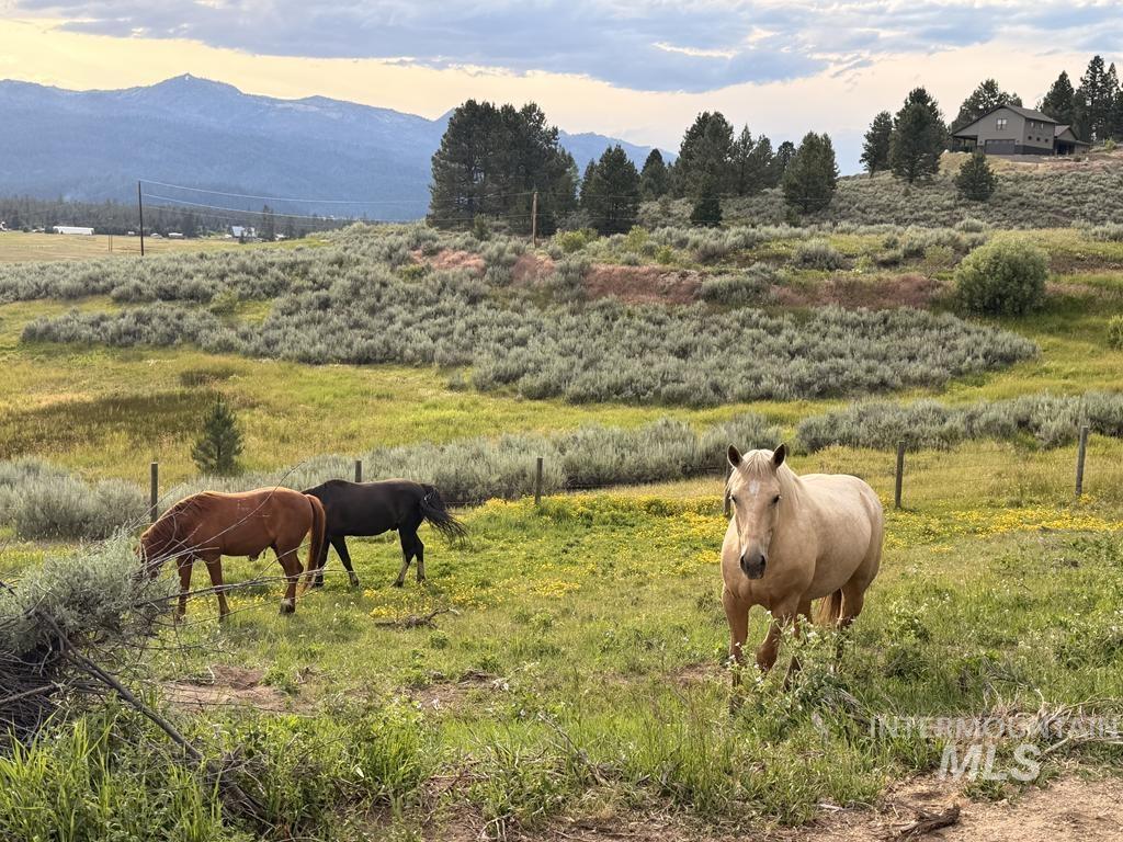 40 Atkin Lane, Cascade, Idaho 83611, 3 Bedrooms, 3 Bathrooms, Residential For Sale, Price $1,400,000,MLS 98992358