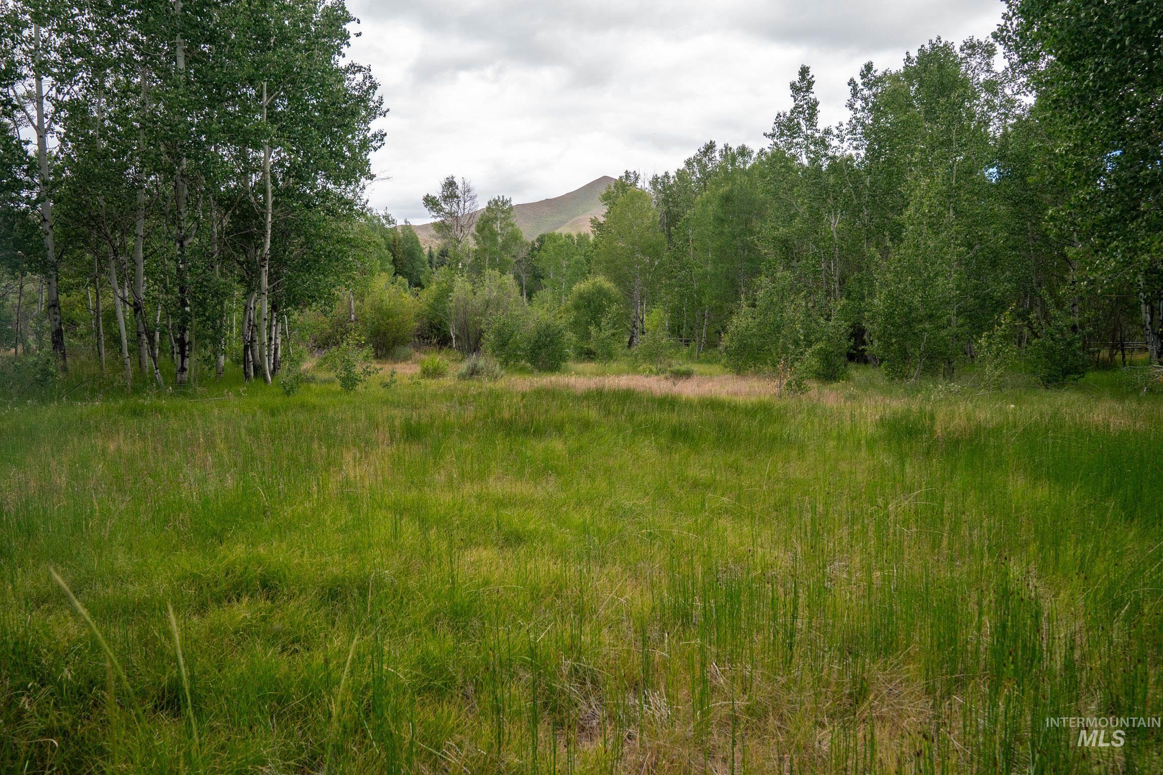 135 Bullion Gulch Rd, Hailey, Idaho 83333, Land For Sale, Price $625,000,MLS 98992374