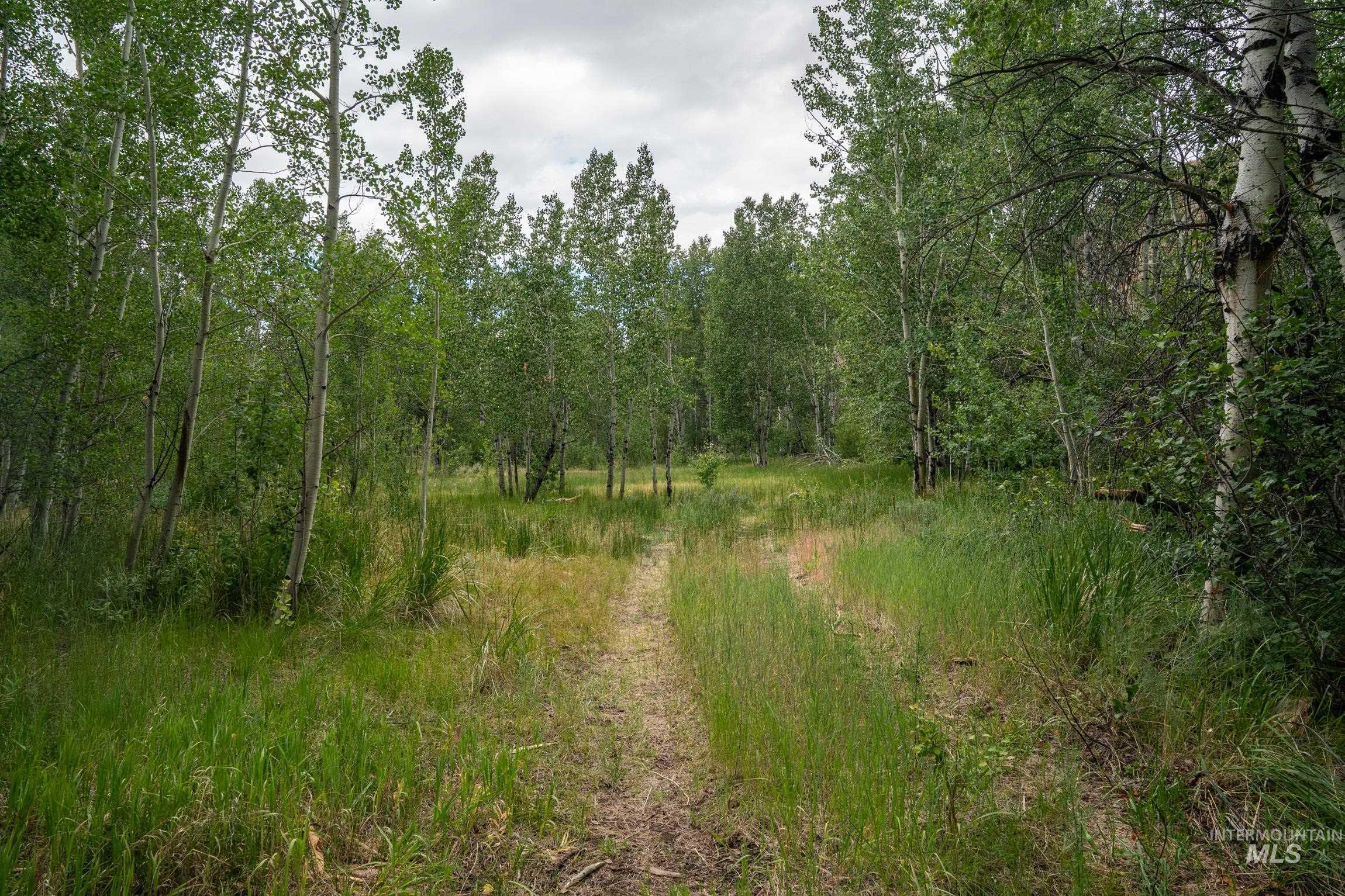 135 Bullion Gulch Rd, Hailey, Idaho 83333, Land For Sale, Price $625,000,MLS 98992374