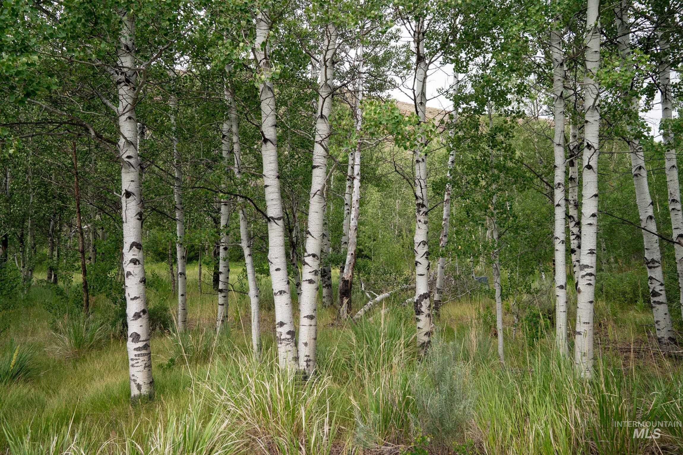135 Bullion Gulch Rd, Hailey, Idaho 83333, Land For Sale, Price $625,000,MLS 98992374
