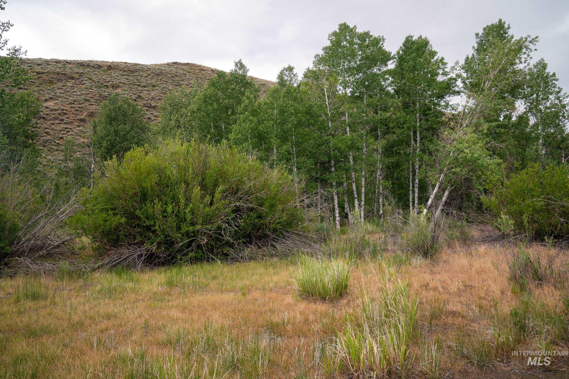 135 Bullion Gulch Rd, Hailey, Idaho 83333, Land For Sale, Price $625,000,MLS 98992374