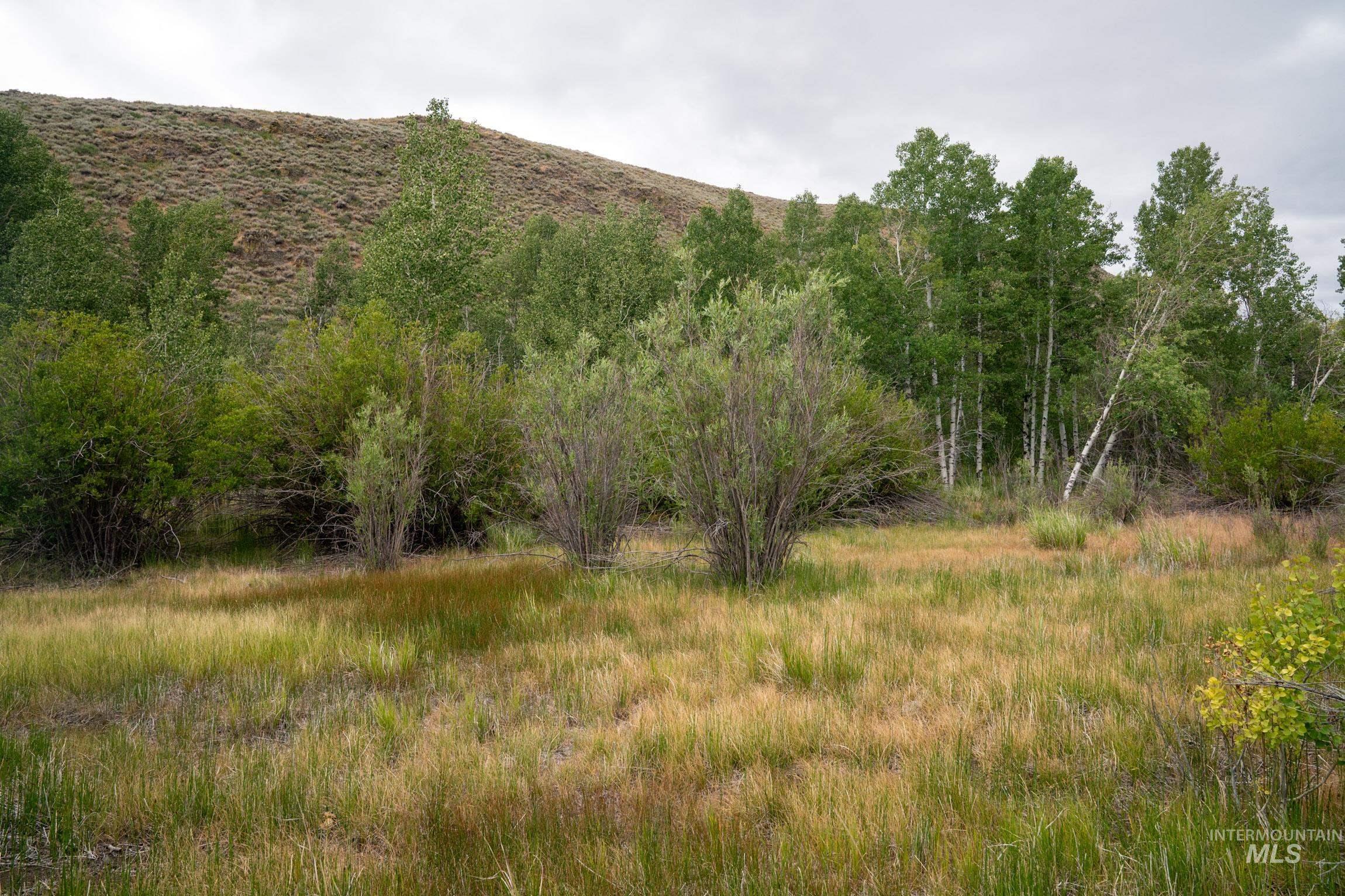 135 Bullion Gulch Rd, Hailey, Idaho 83333, Land For Sale, Price $625,000,MLS 98992374