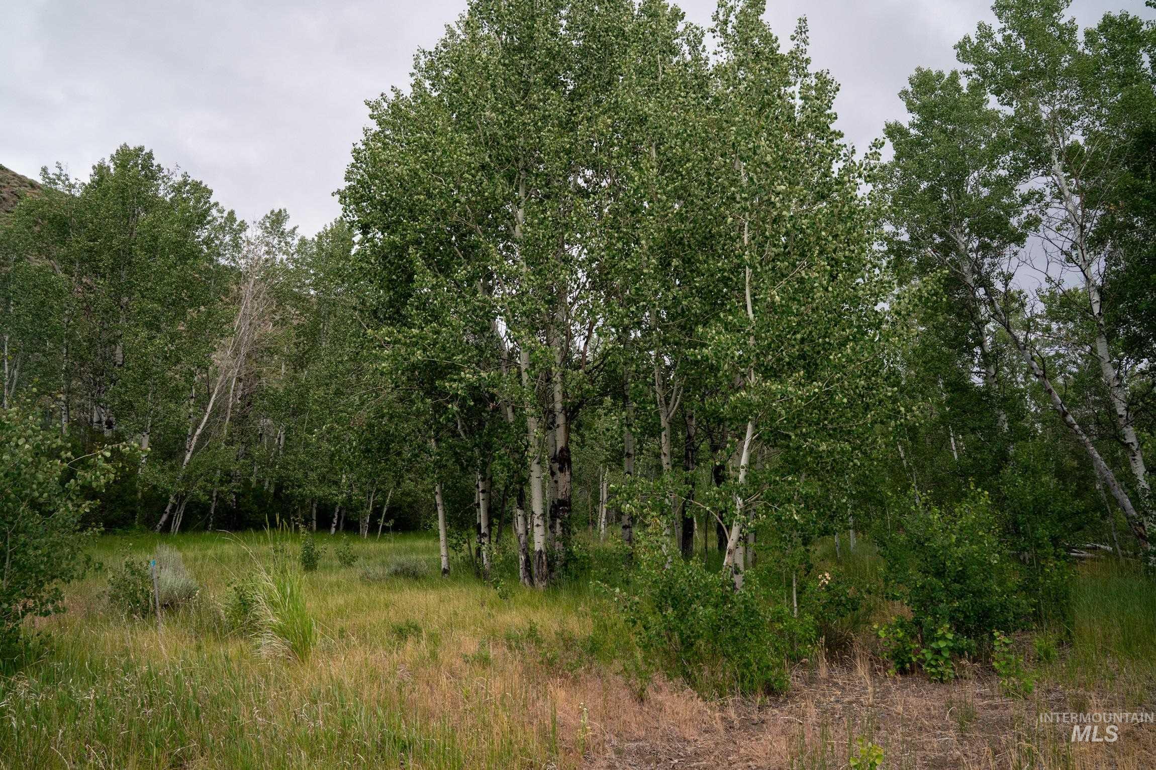 135 Bullion Gulch Rd, Hailey, Idaho 83333, Land For Sale, Price $625,000,MLS 98992374