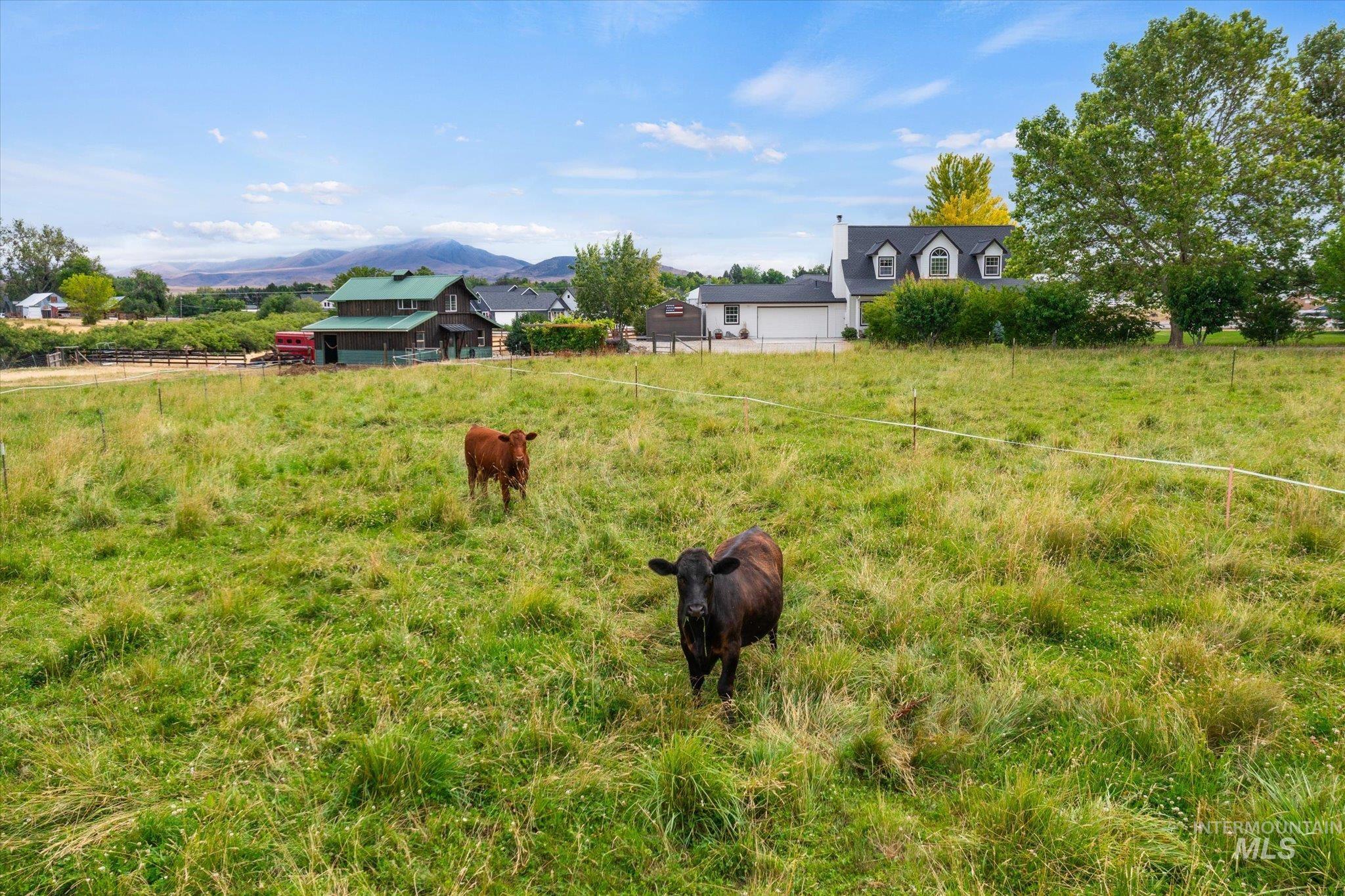 1140 Edgemont St, Emmett, Idaho 83617, 3 Bedrooms, 2.5 Bathrooms, Residential For Sale, Price $889,000,MLS 98992411