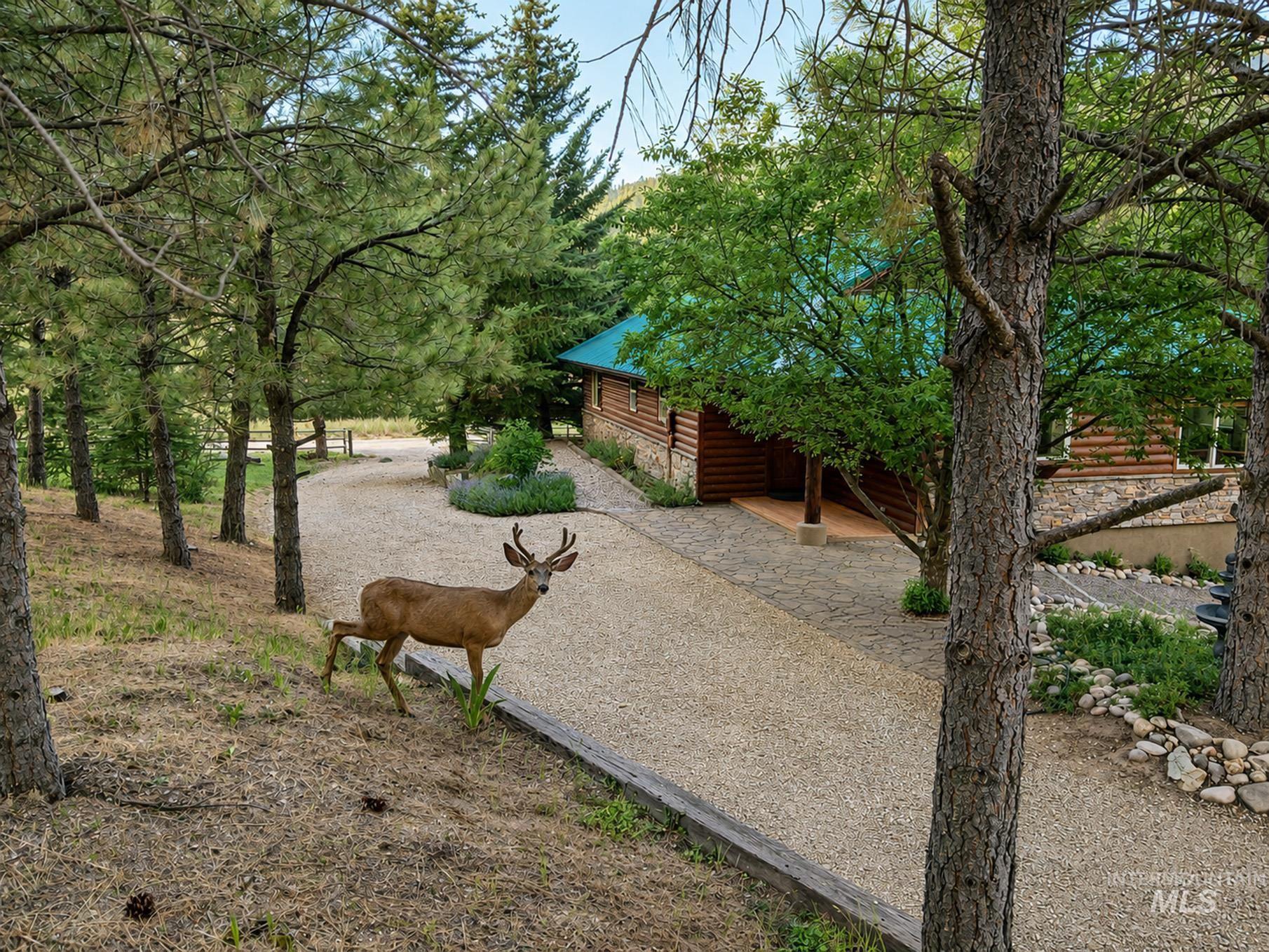 67 Wilderness Ranch Rd, Boise, Idaho 83716, 3 Bedrooms, 2 Bathrooms, Residential For Sale, Price $849,000,MLS 98992427