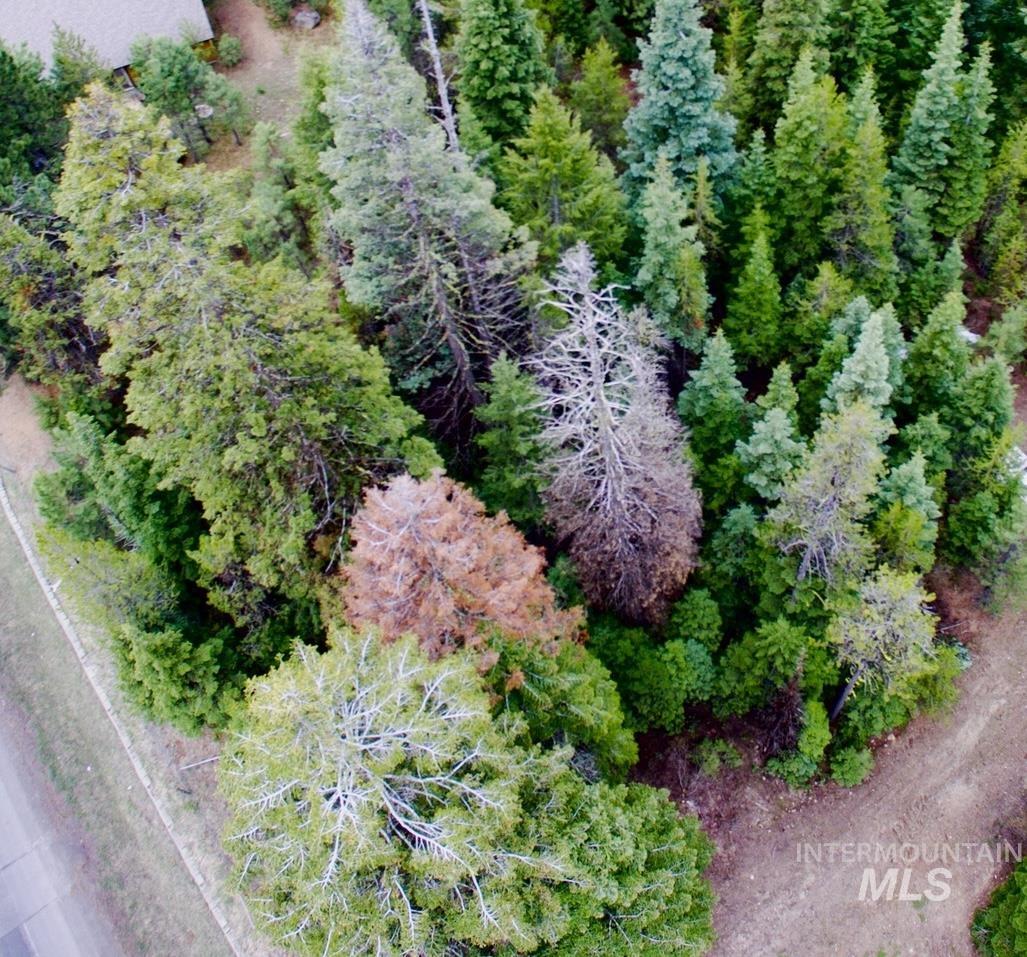 TBD Boydstun St, McCall, Idaho 83638, Land For Sale, Price $205,000,MLS 98992521